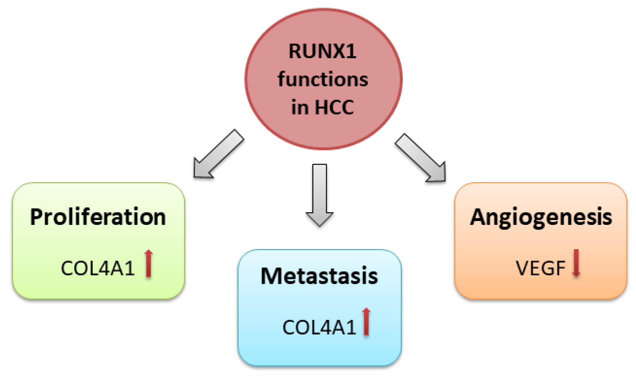 Cells 12 02303 g002 Cells 12 02303 g002