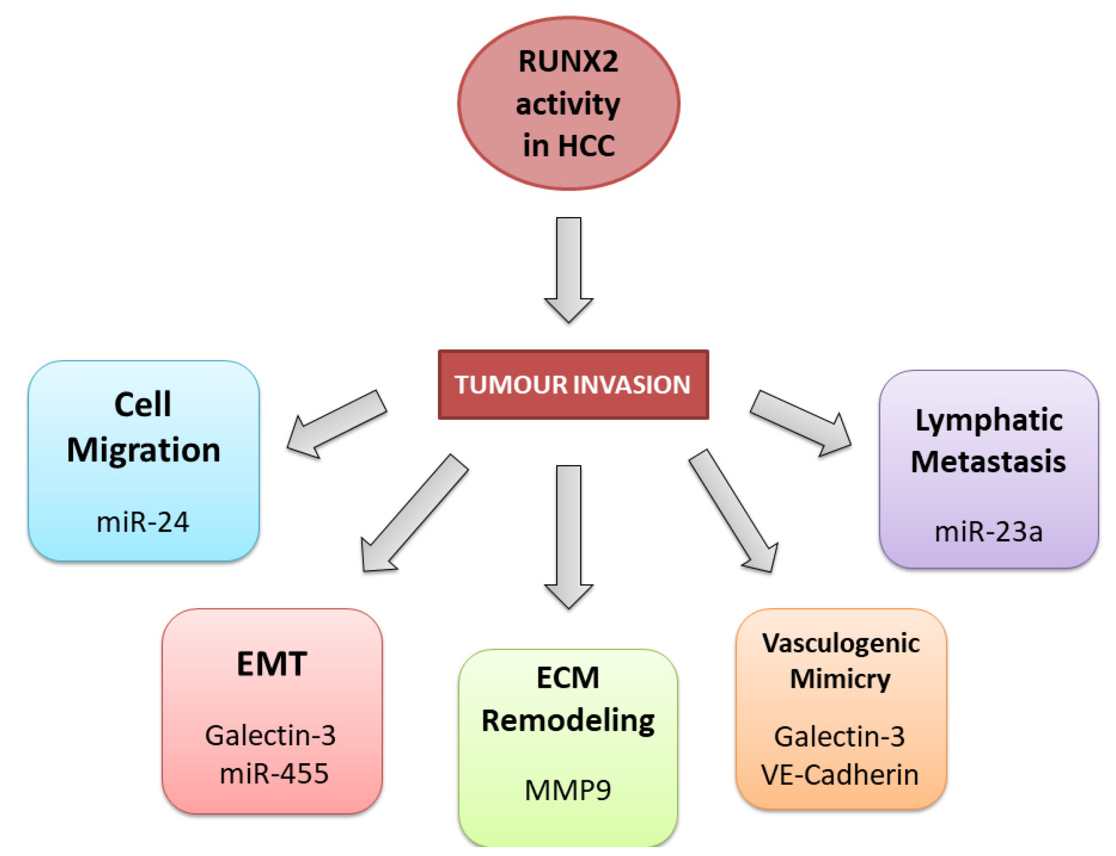 Cells 12 02303 g003 Cells 12 02303 g003