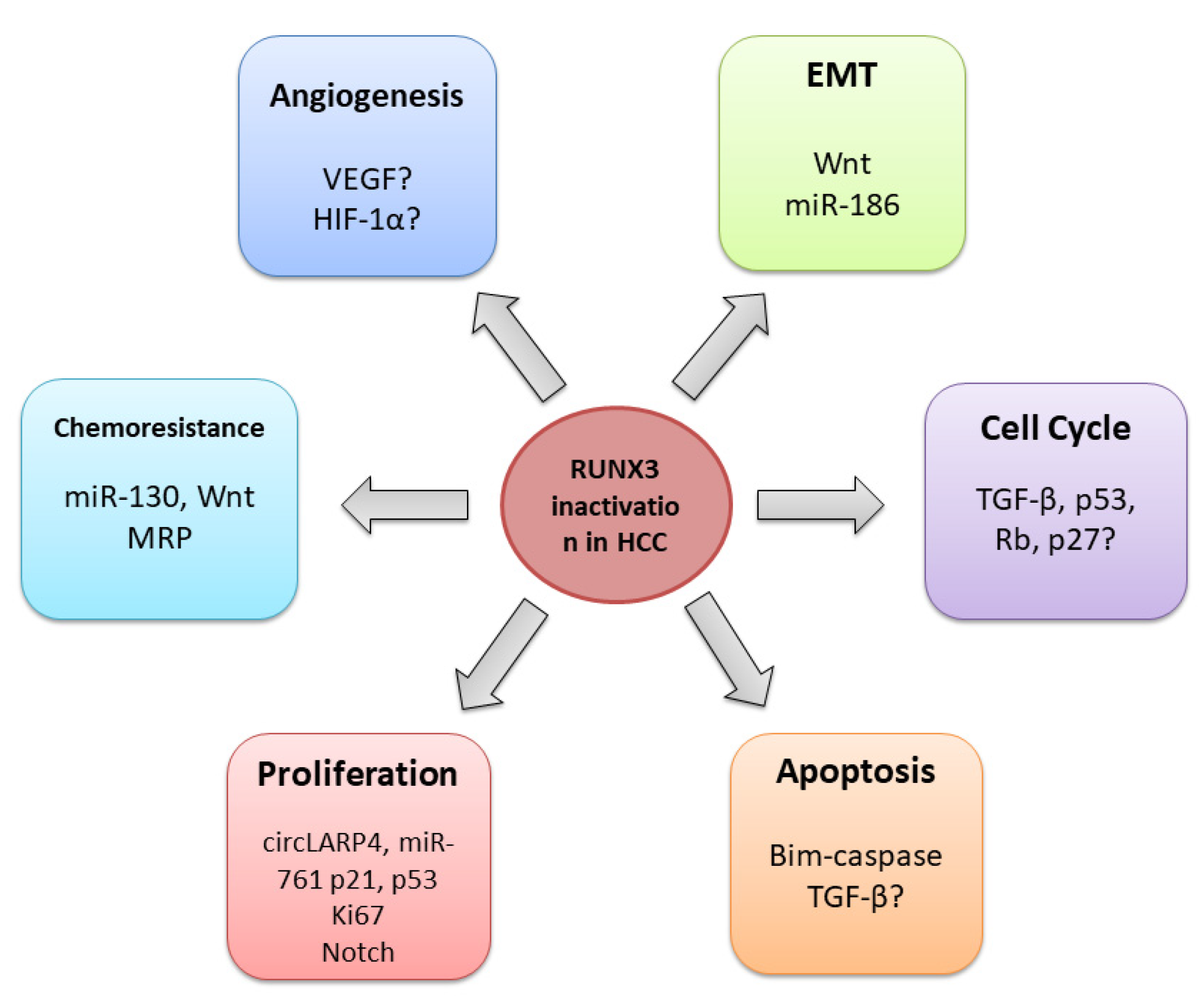 Cells 12 02303 g004 Cells 12 02303 g004