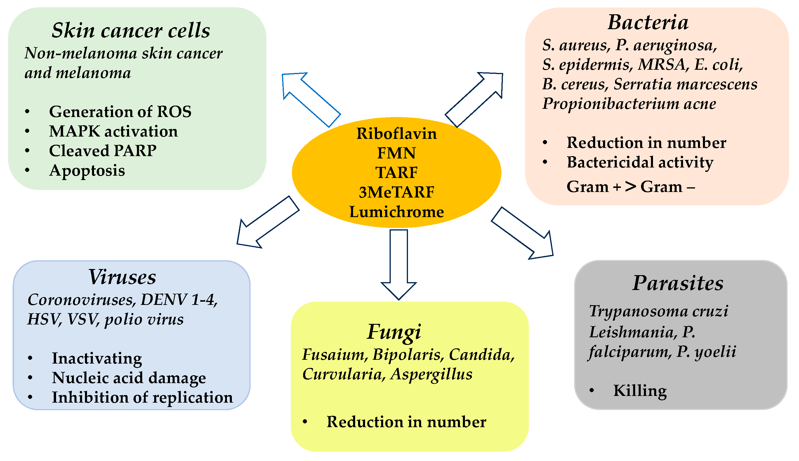 Cells 12 02304 g002 Cells 12 02304 g002