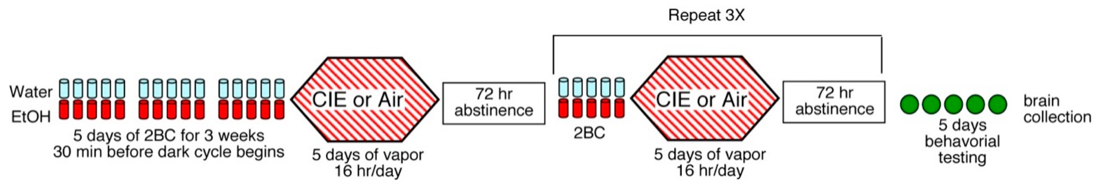 Cells 12 02306 g001 Cells 12 02306 g001