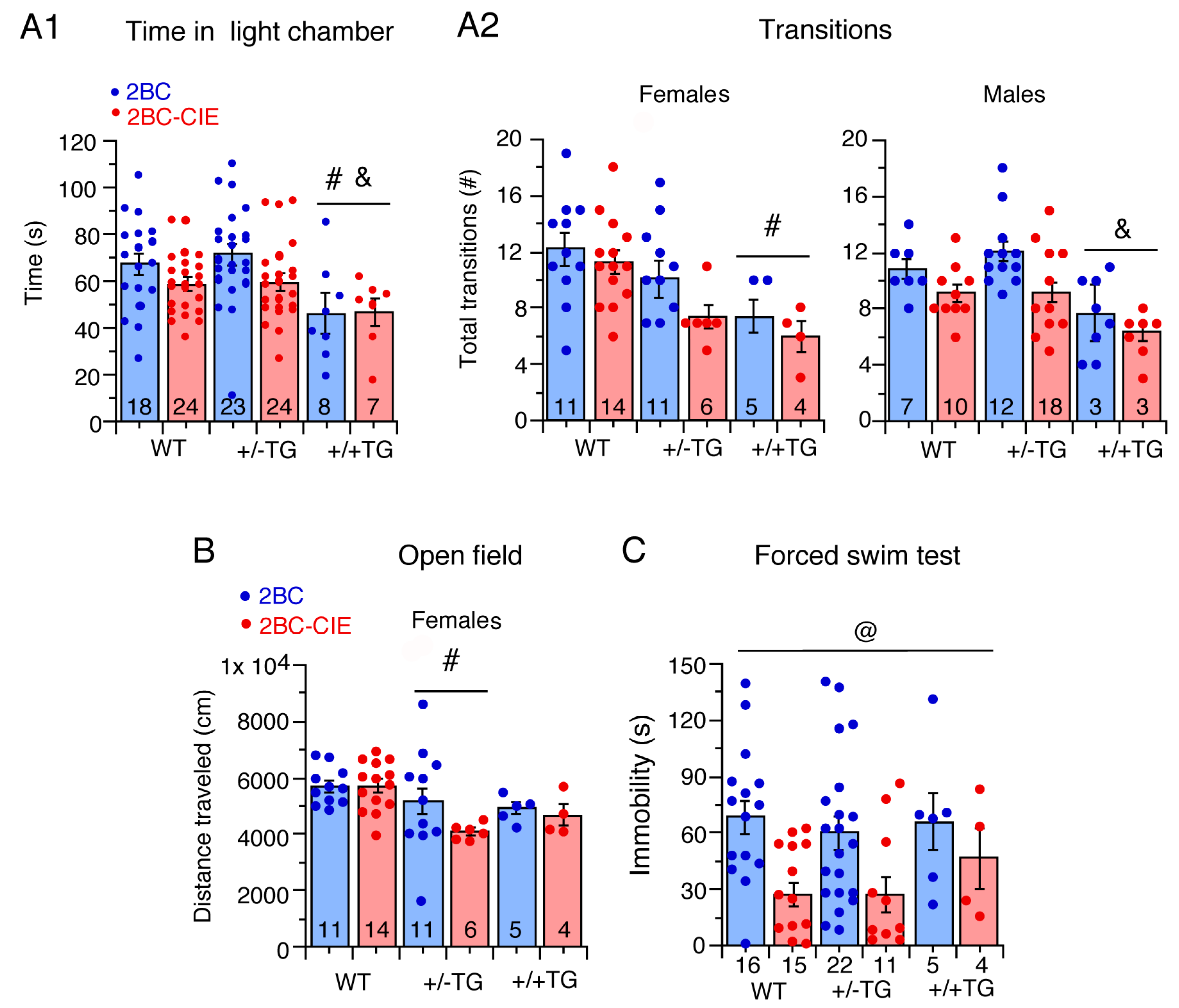 Cells 12 02306 g003 Cells 12 02306 g003