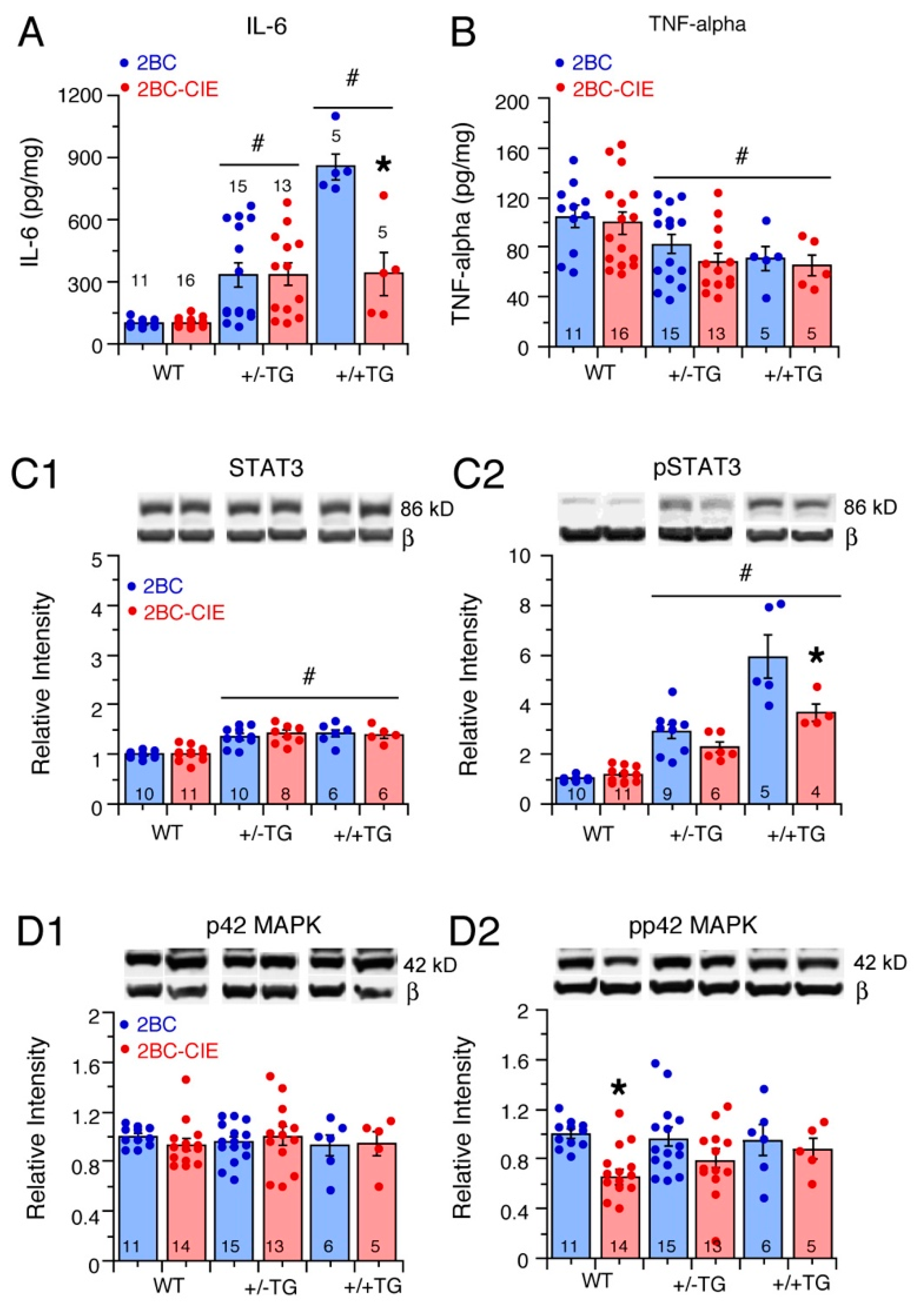 Cells 12 02306 g004 Cells 12 02306 g004