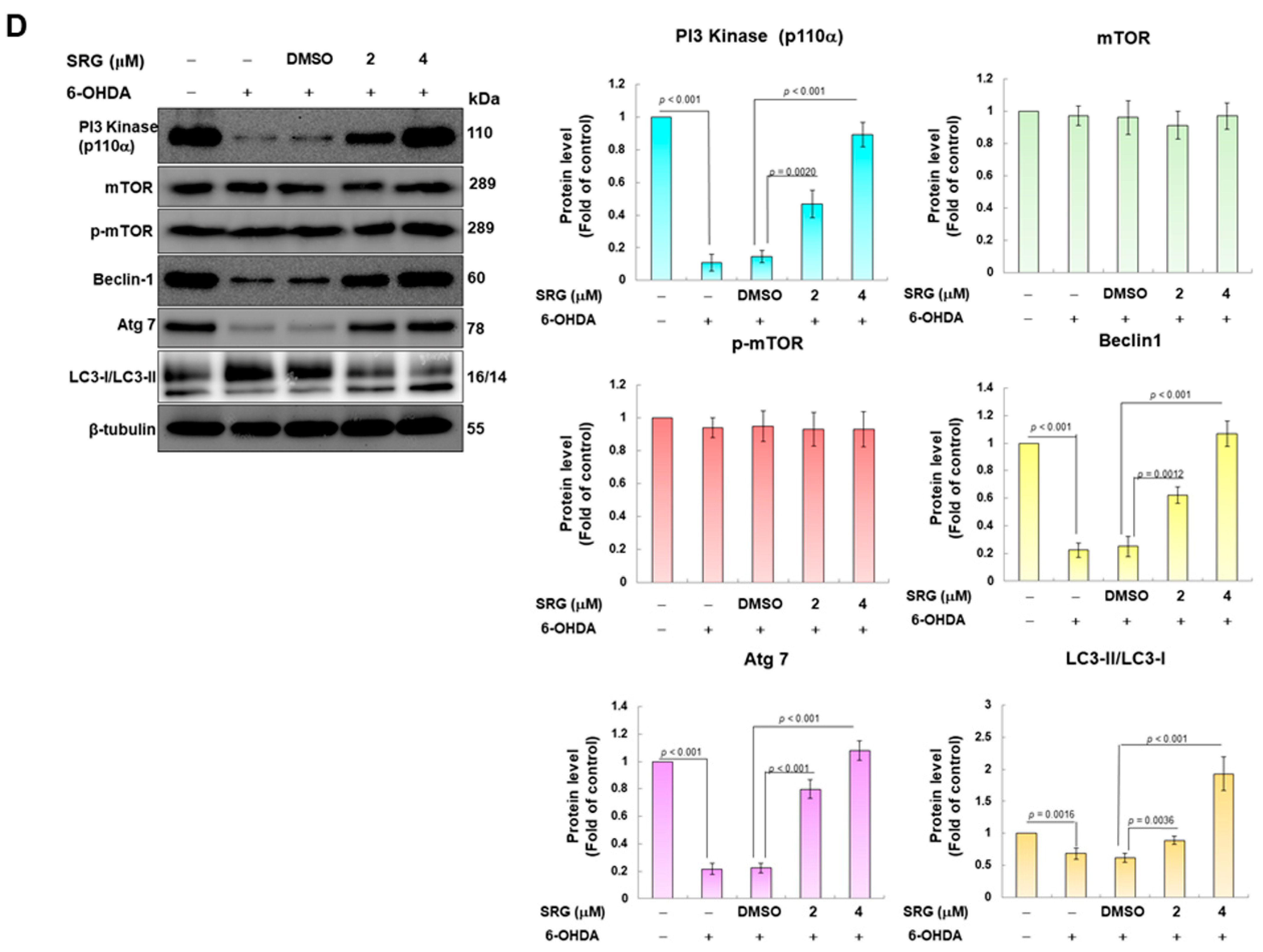 Cells 12 02310 g003b