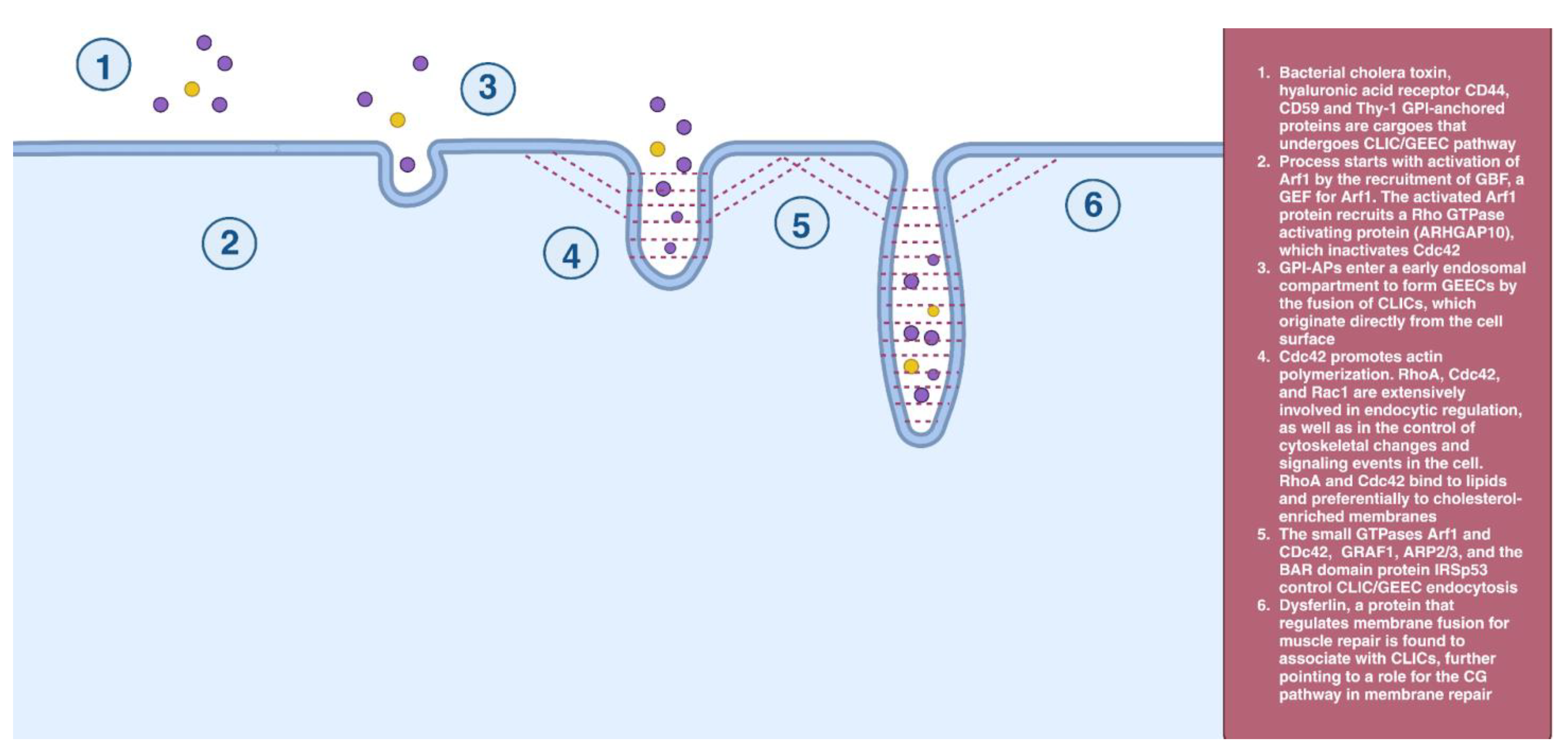 Cells 12 02312 g003 Cells 12 02312 g003