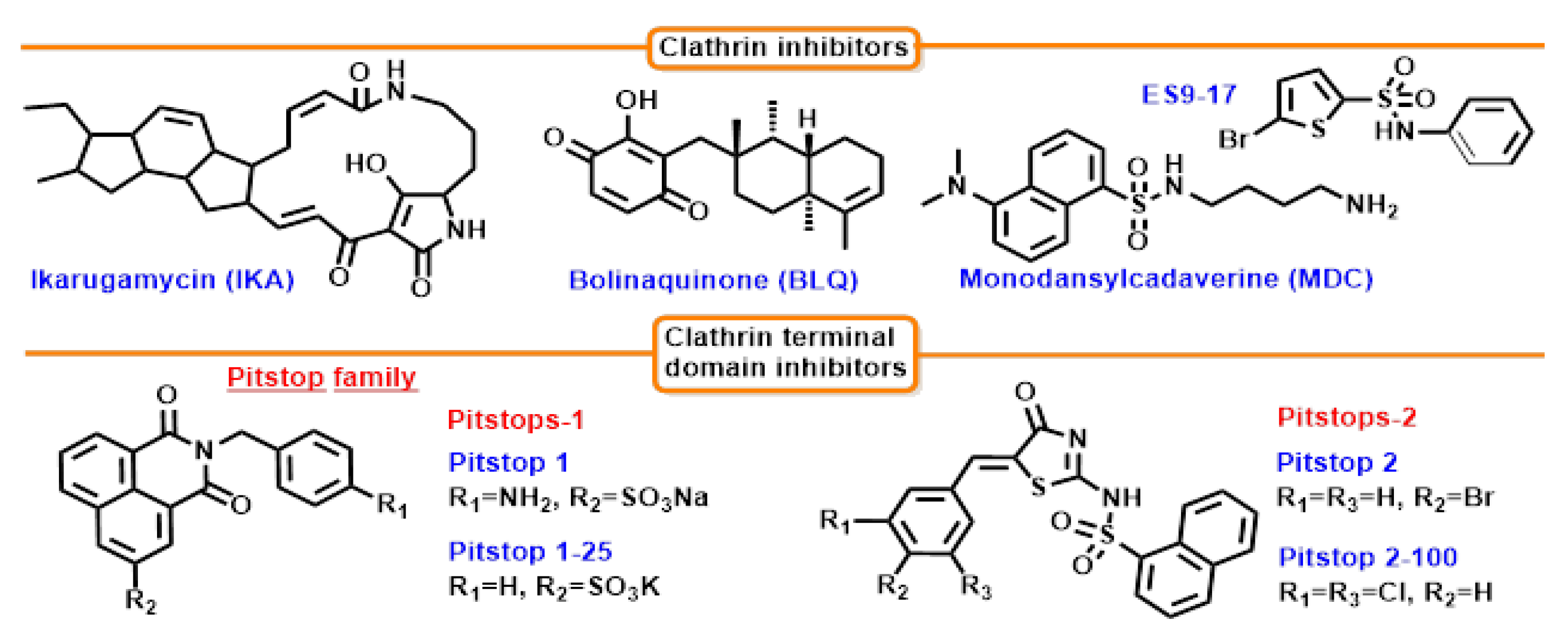 Cells 12 02312 g010 Cells 12 02312 g010