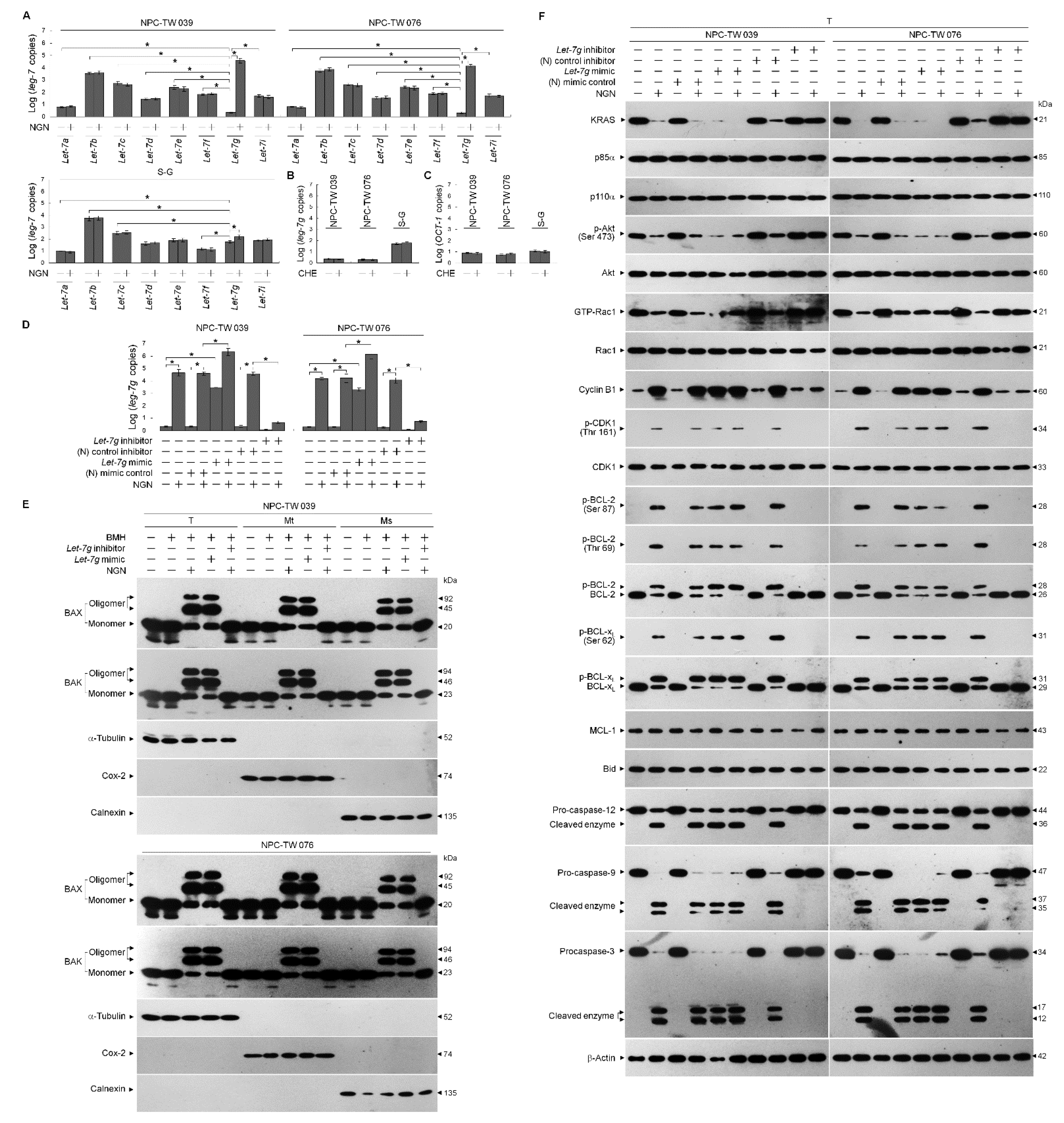 Cells 12 02313 g004a
