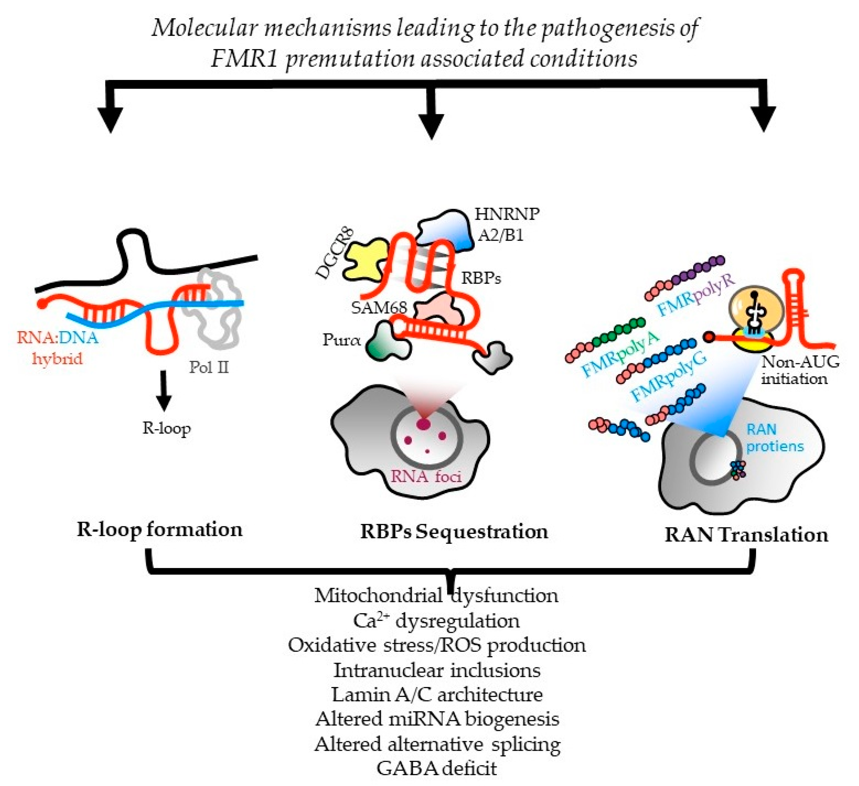 Cells 12 02330 g001 Cells 12 02330 g001