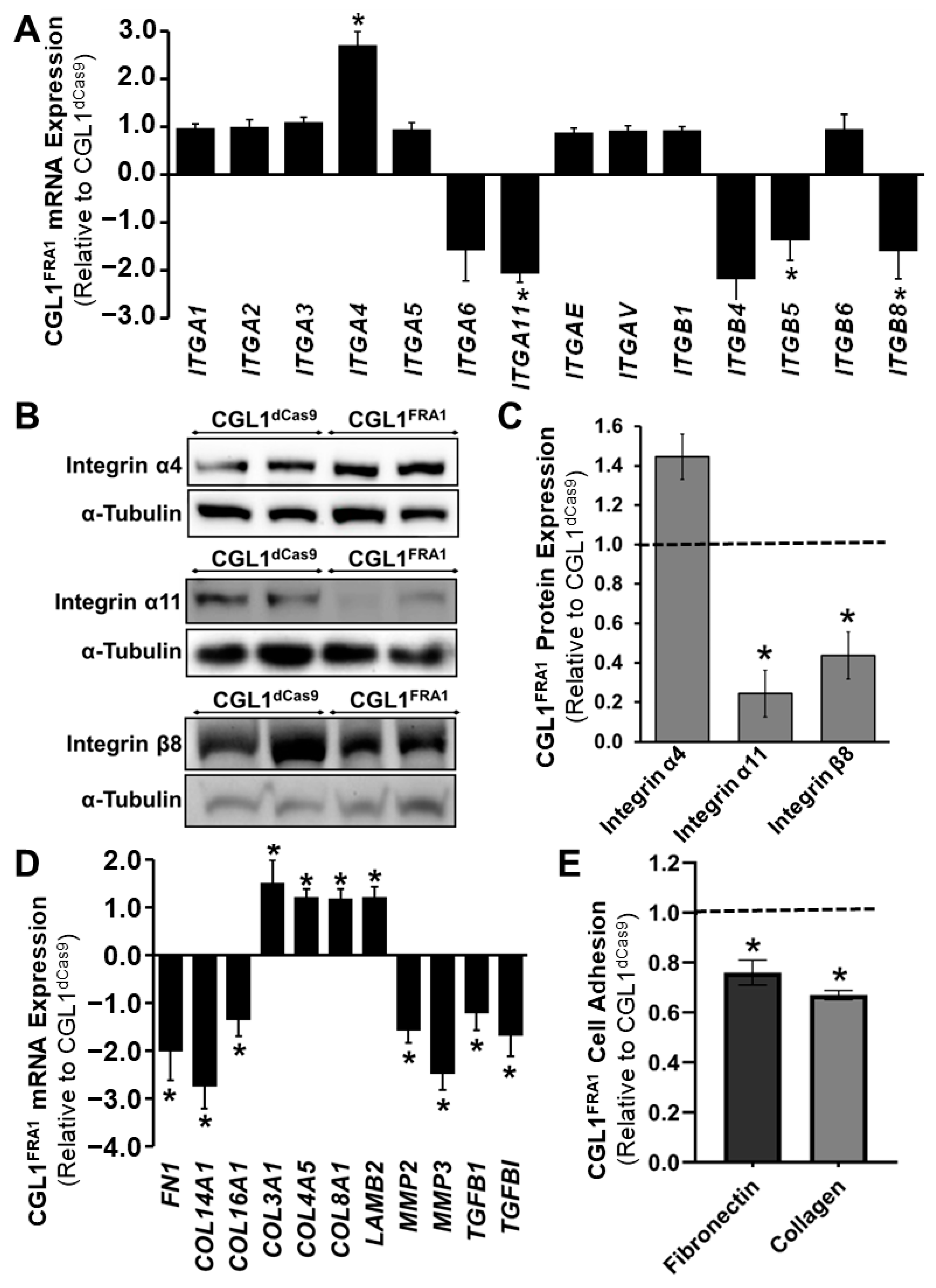 Cells 12 02344 g004 Cells 12 02344 g004