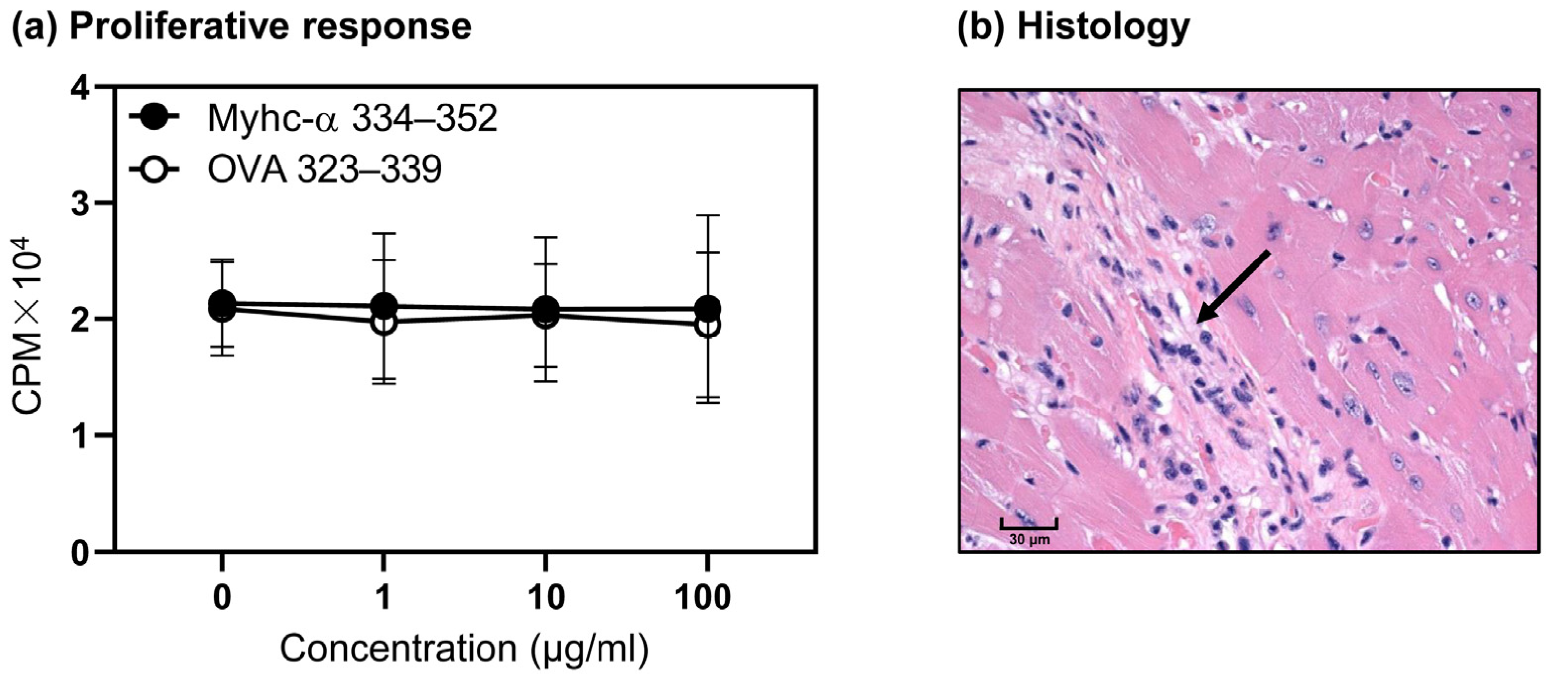 Cells 12 02346 g003 Cells 12 02346 g003