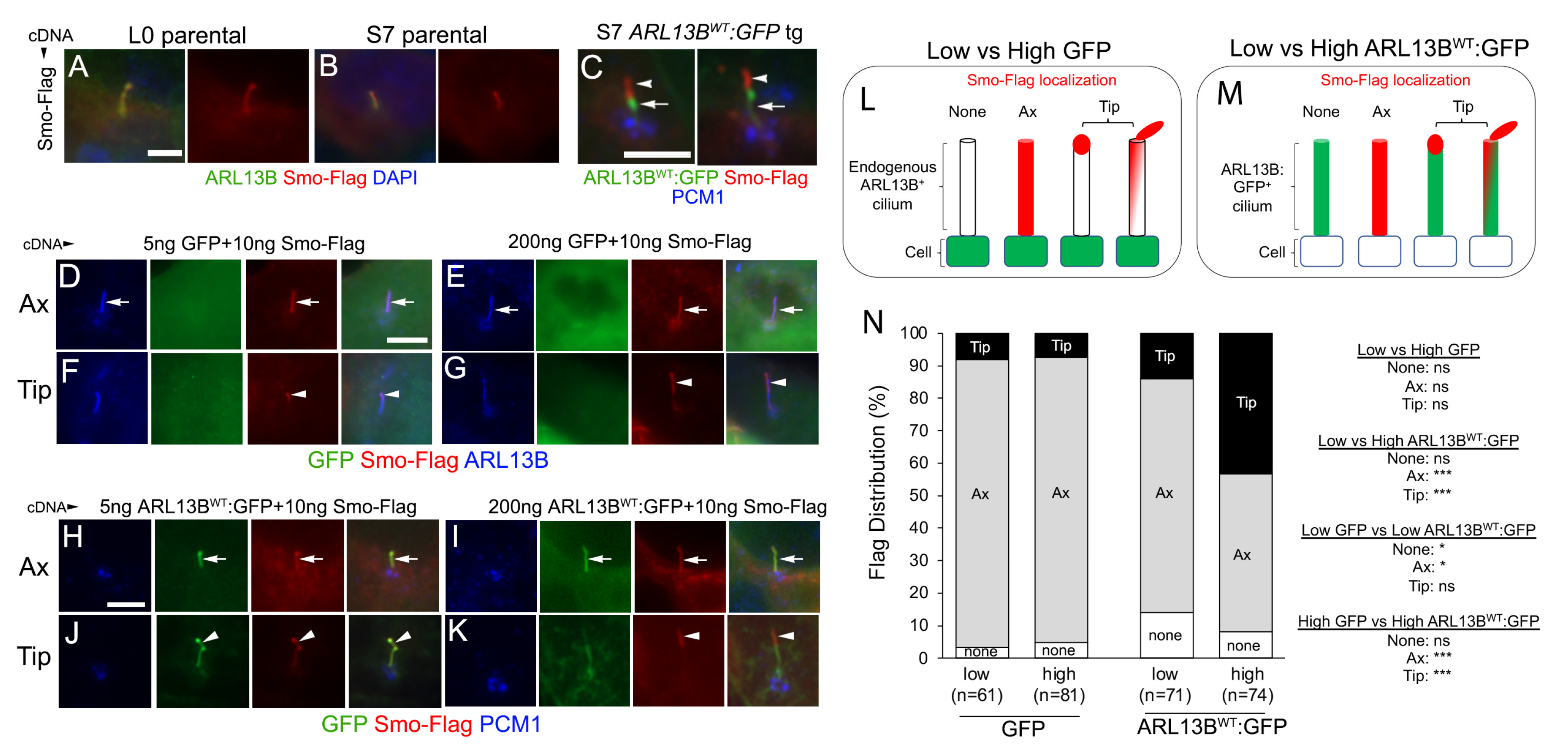 Cells 12 02354 g003 Cells 12 02354 g003