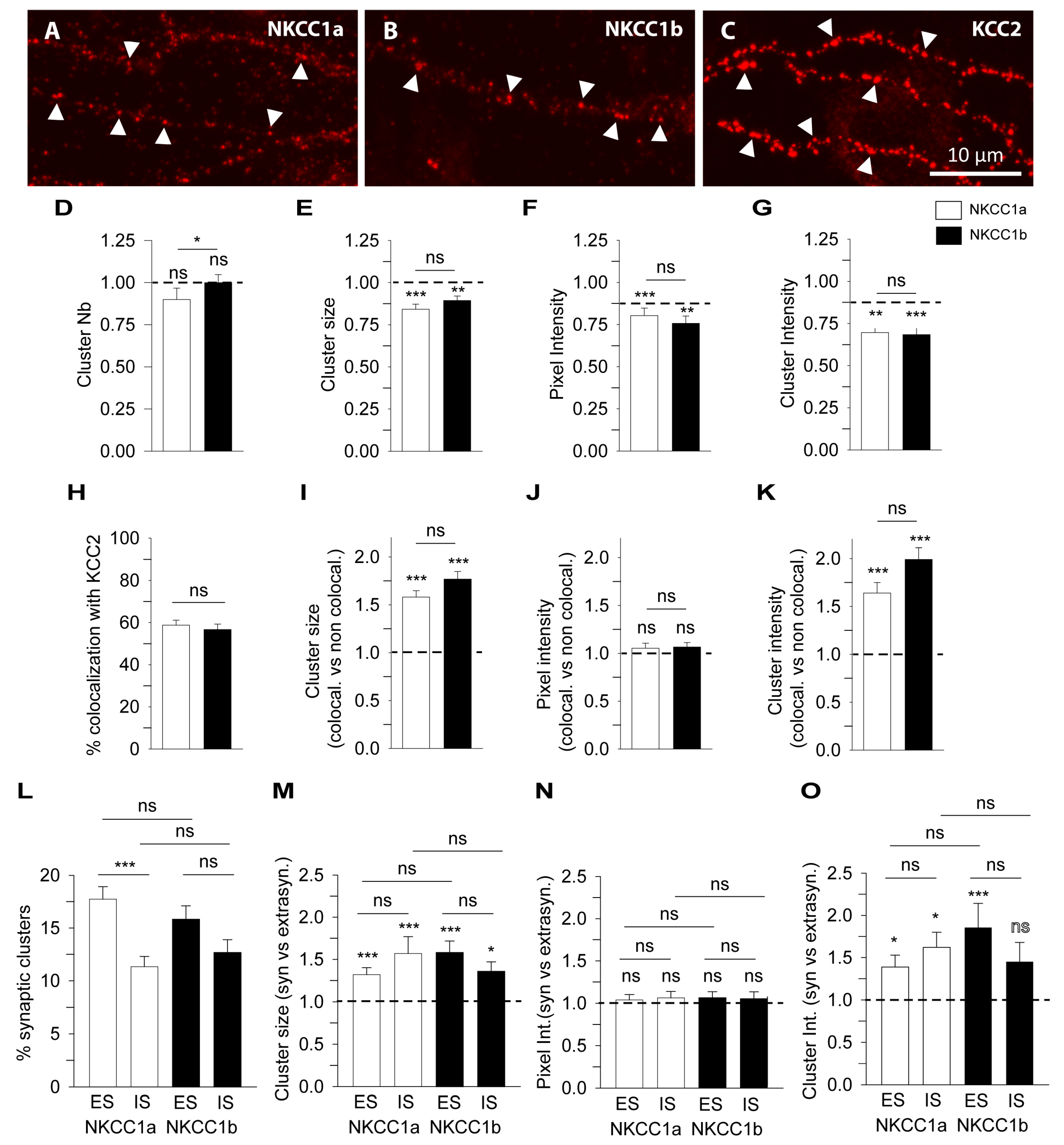 Cells 12 02363 g003 Cells 12 02363 g003