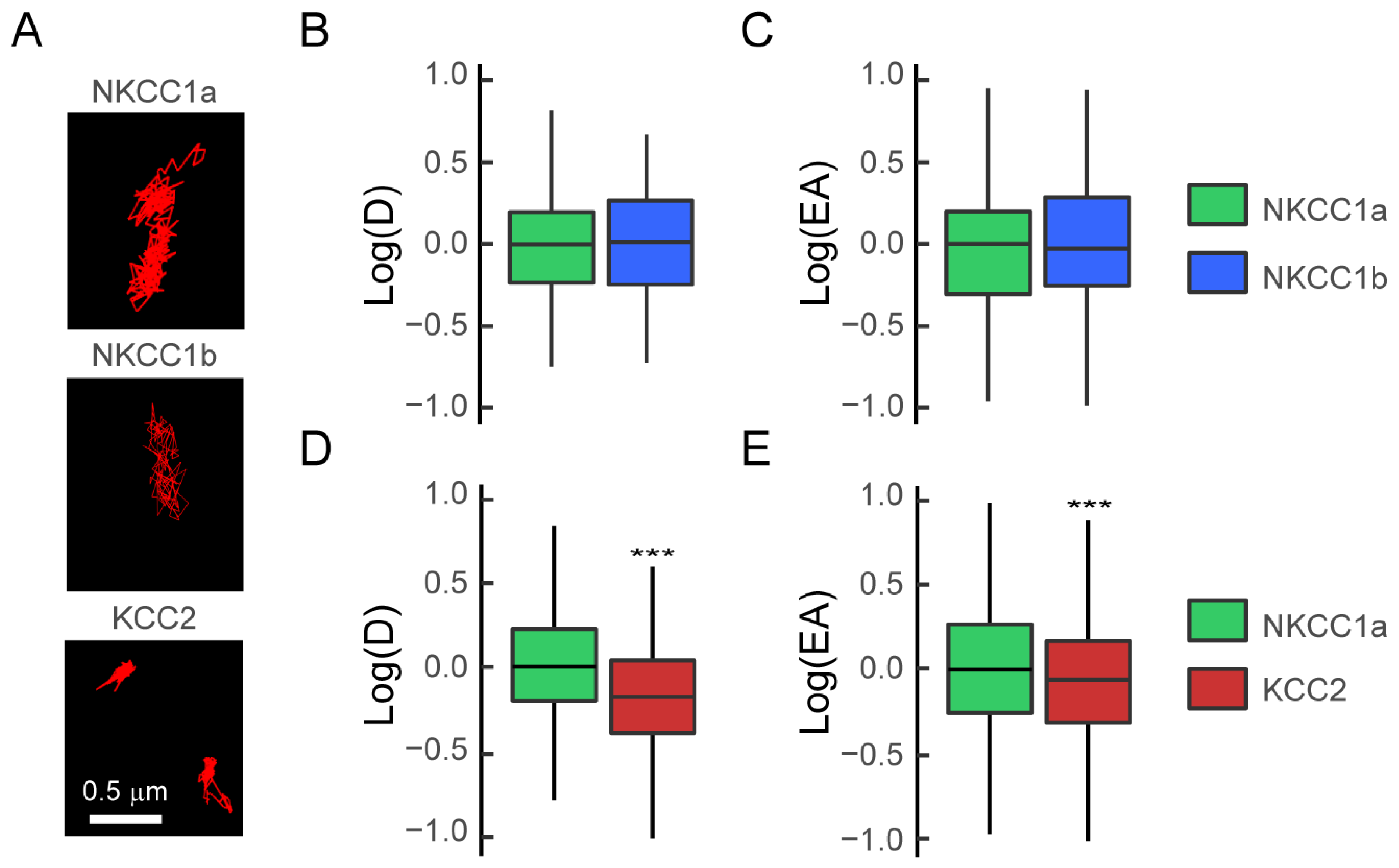 Cells 12 02363 g006 Cells 12 02363 g006