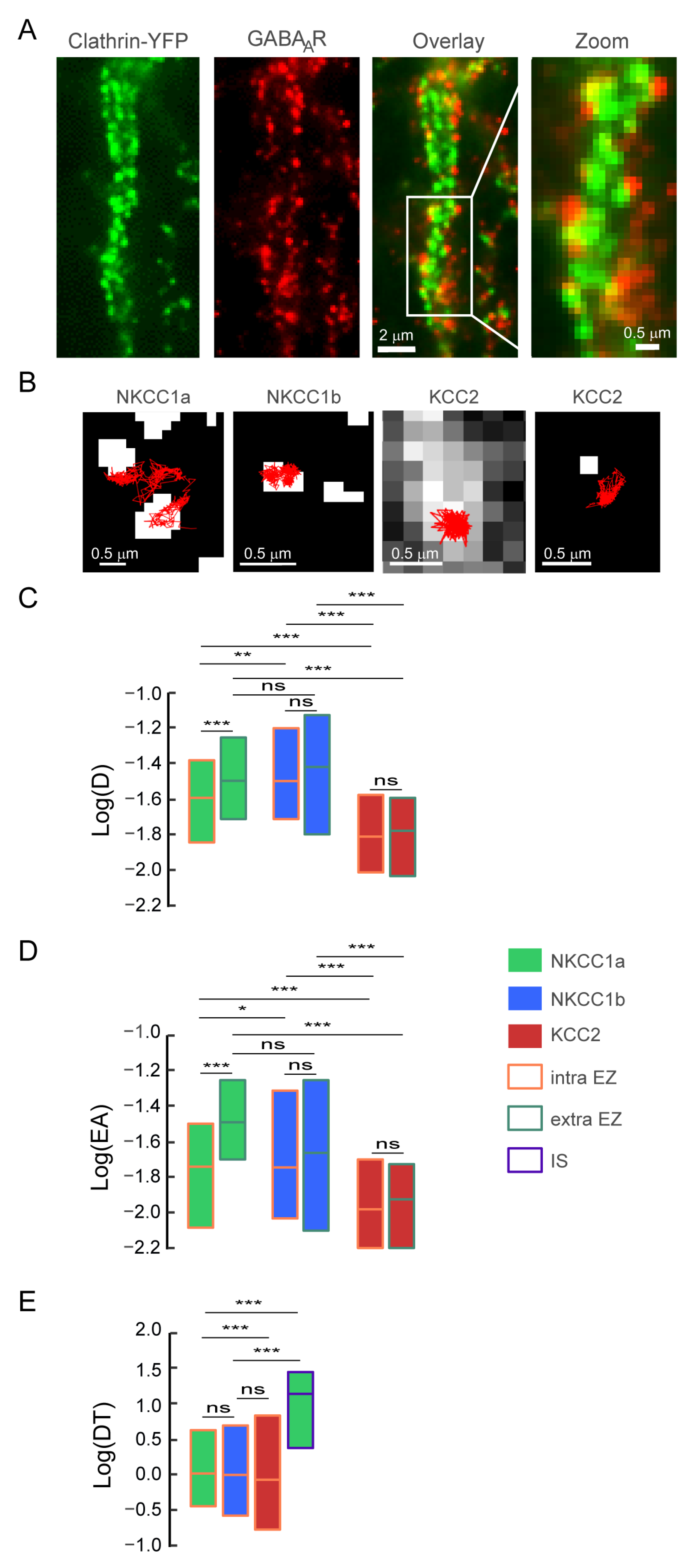 Cells 12 02363 g008 Cells 12 02363 g008
