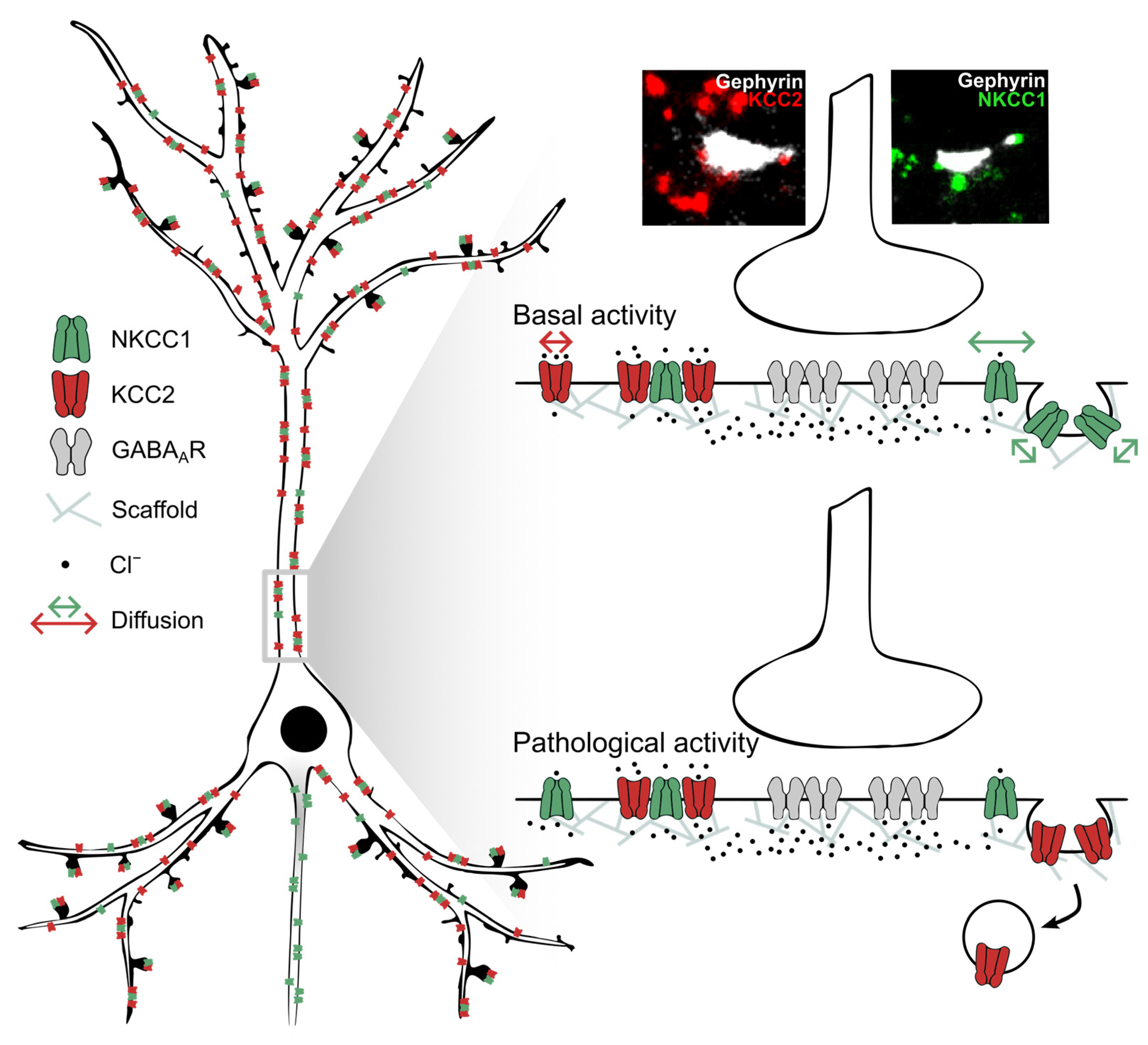 Cells 12 02363 g009 Cells 12 02363 g009