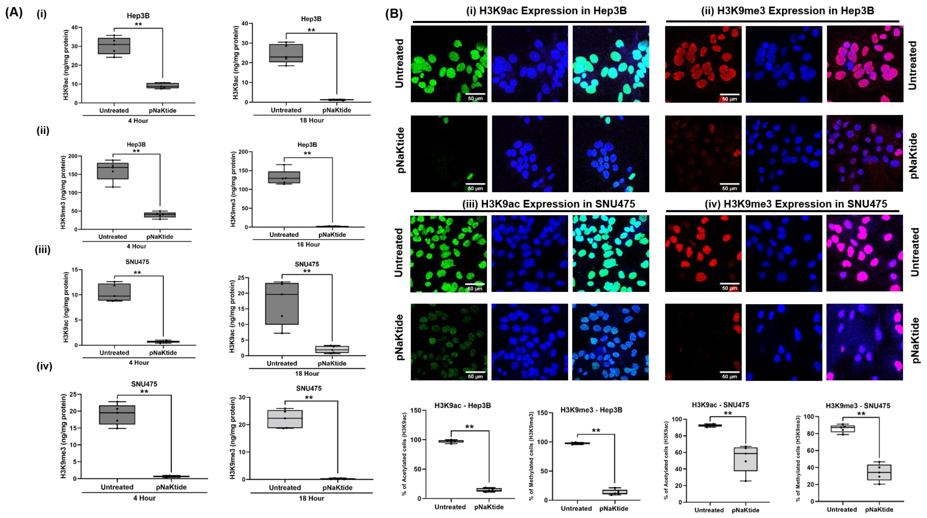 Cells 12 02367 g001 Cells 12 02367 g001