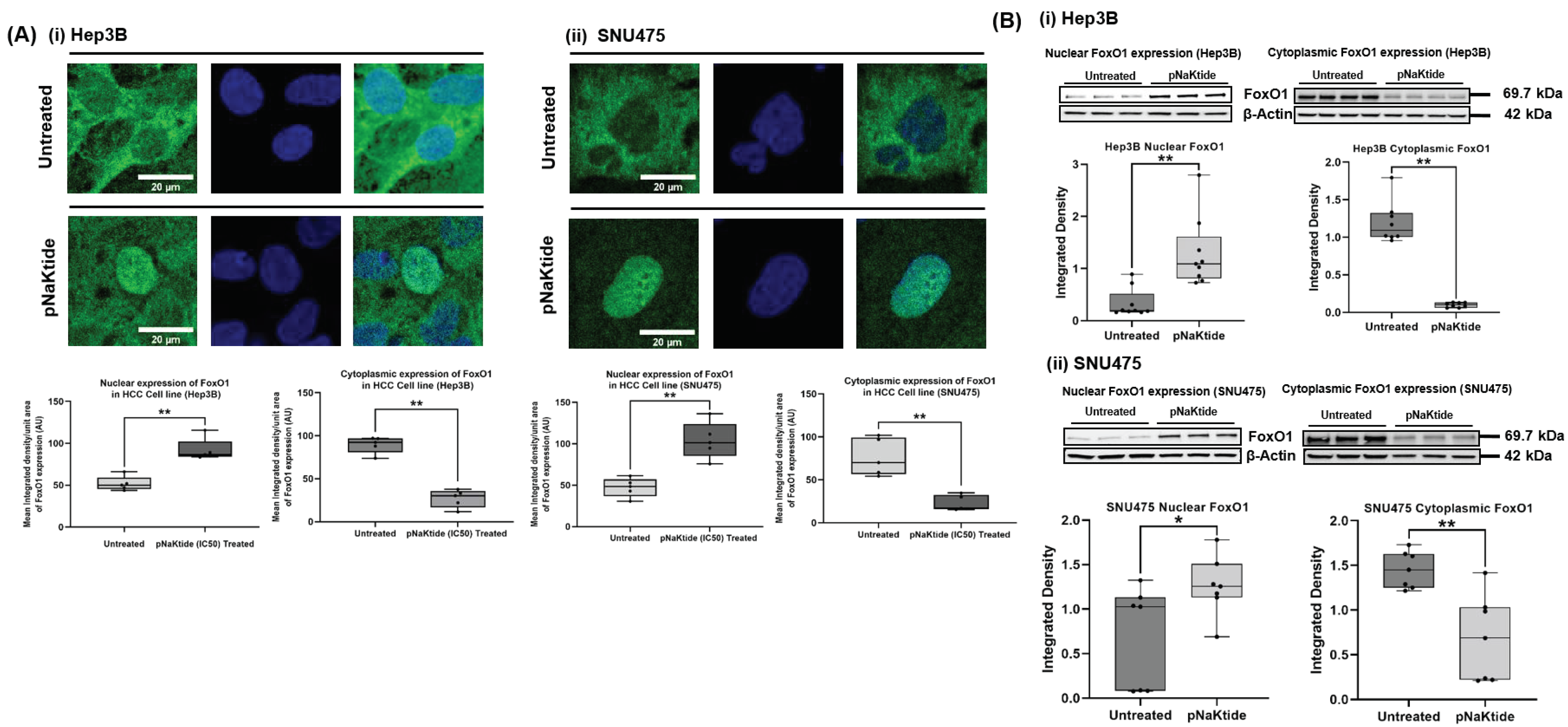 Cells 12 02367 g006 Cells 12 02367 g006