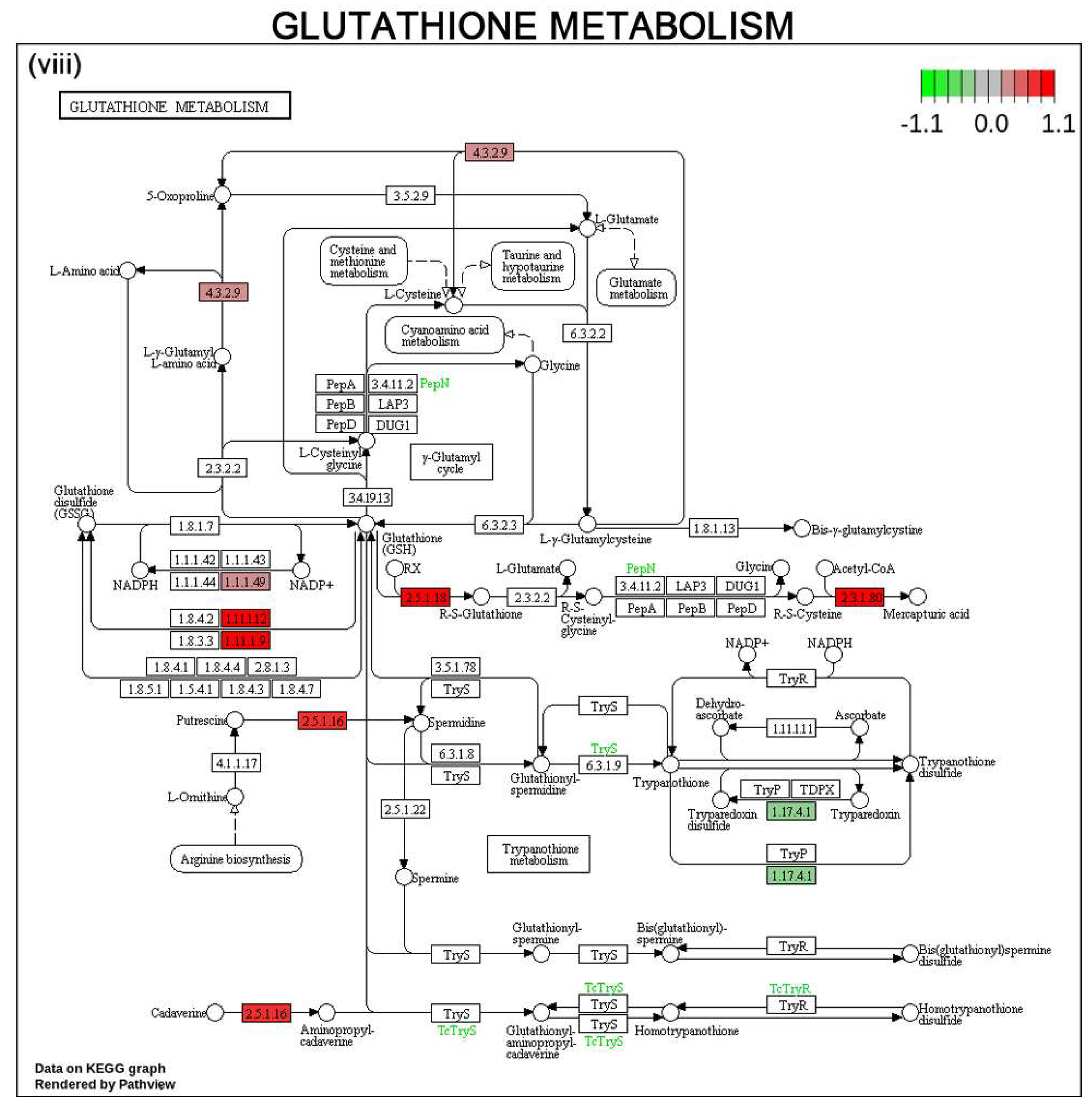 Cells 12 02367 g007e Cells 12 02367 g007e