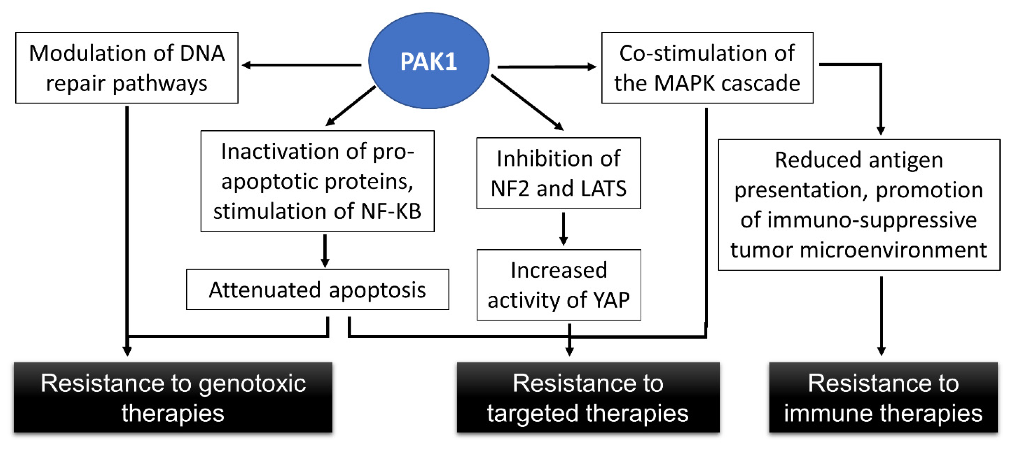 Cells 12 02373 g001 Cells 12 02373 g001
