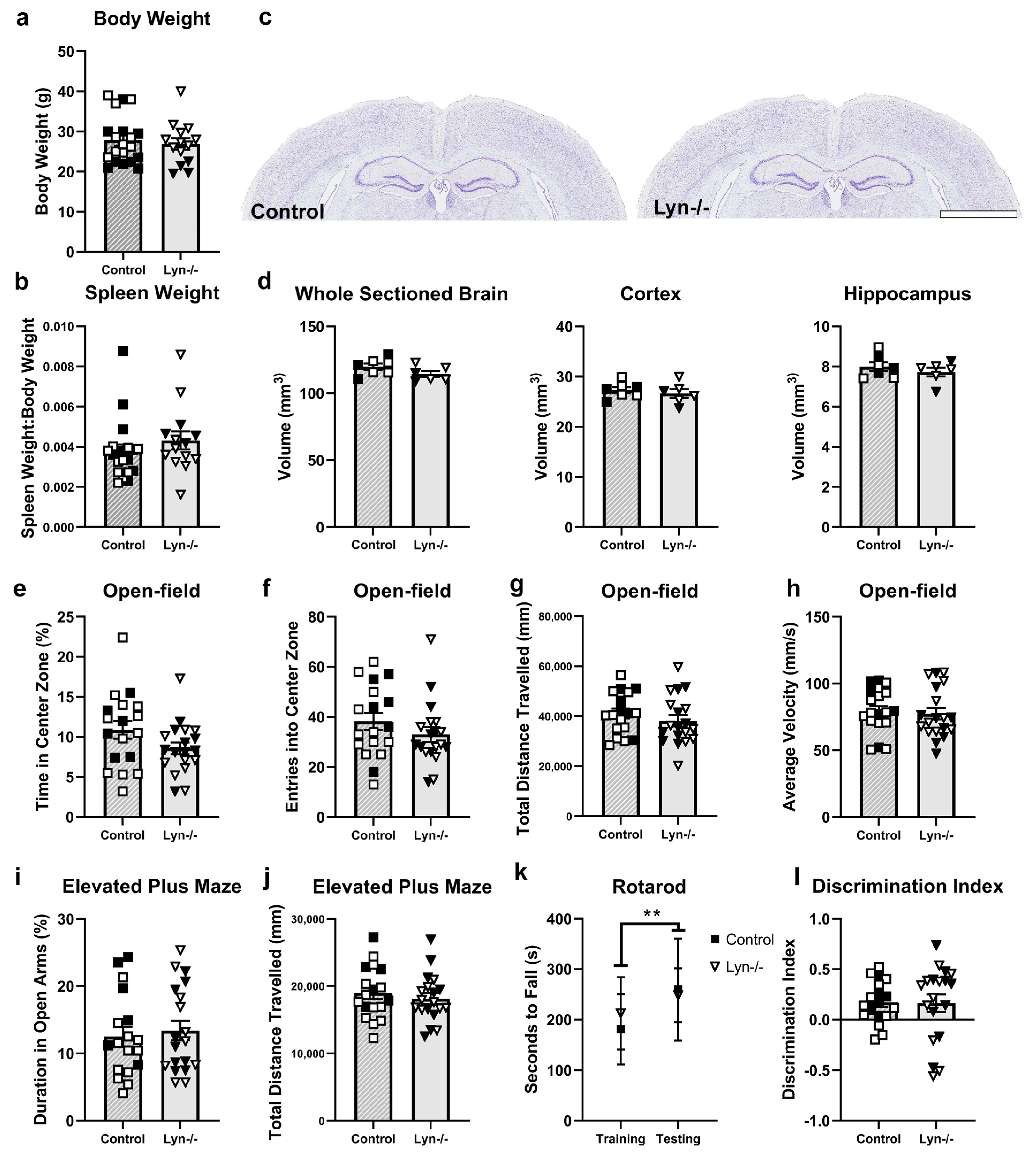 Cells 12 02378 g001 Cells 12 02378 g001