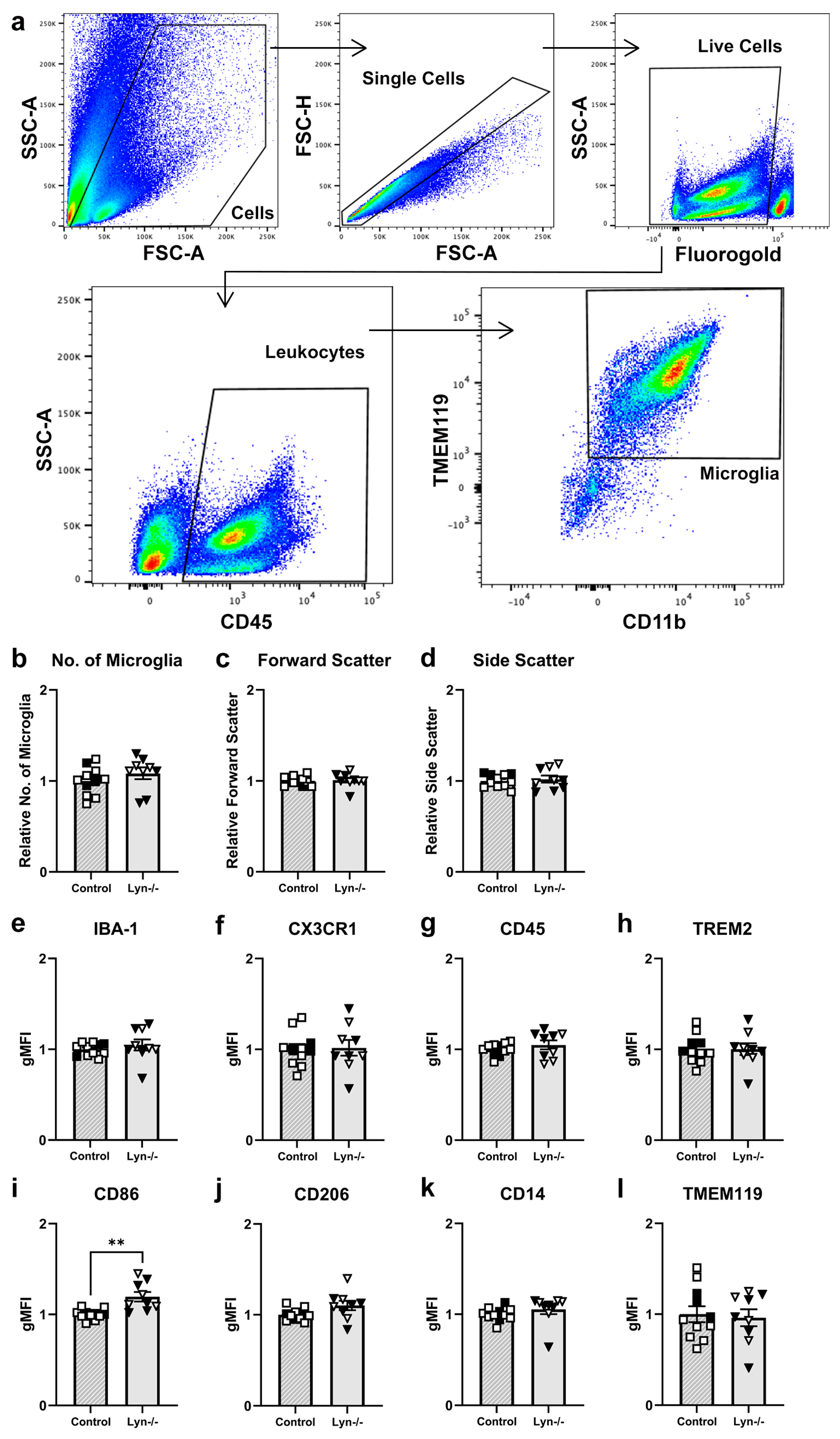 Cells 12 02378 g003 Cells 12 02378 g003