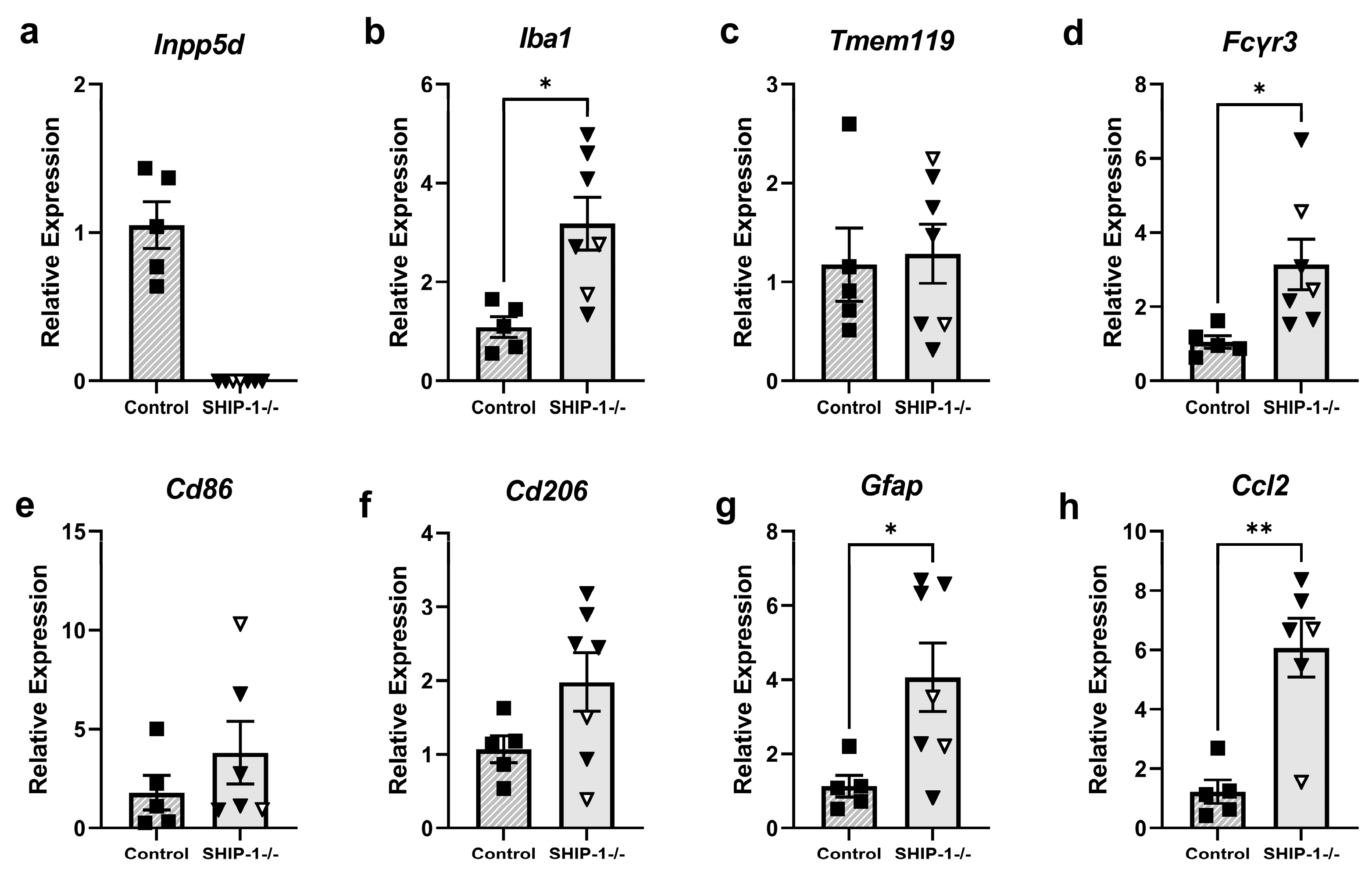 Cells 12 02378 g008 Cells 12 02378 g008