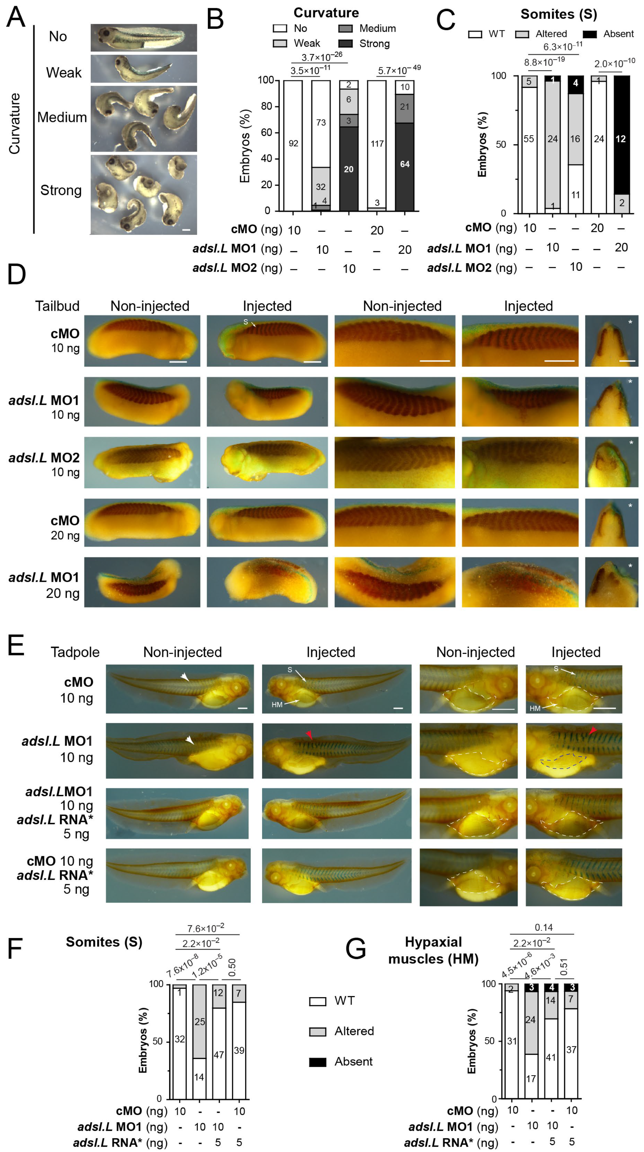 Cells 12 02379 g003 Cells 12 02379 g003