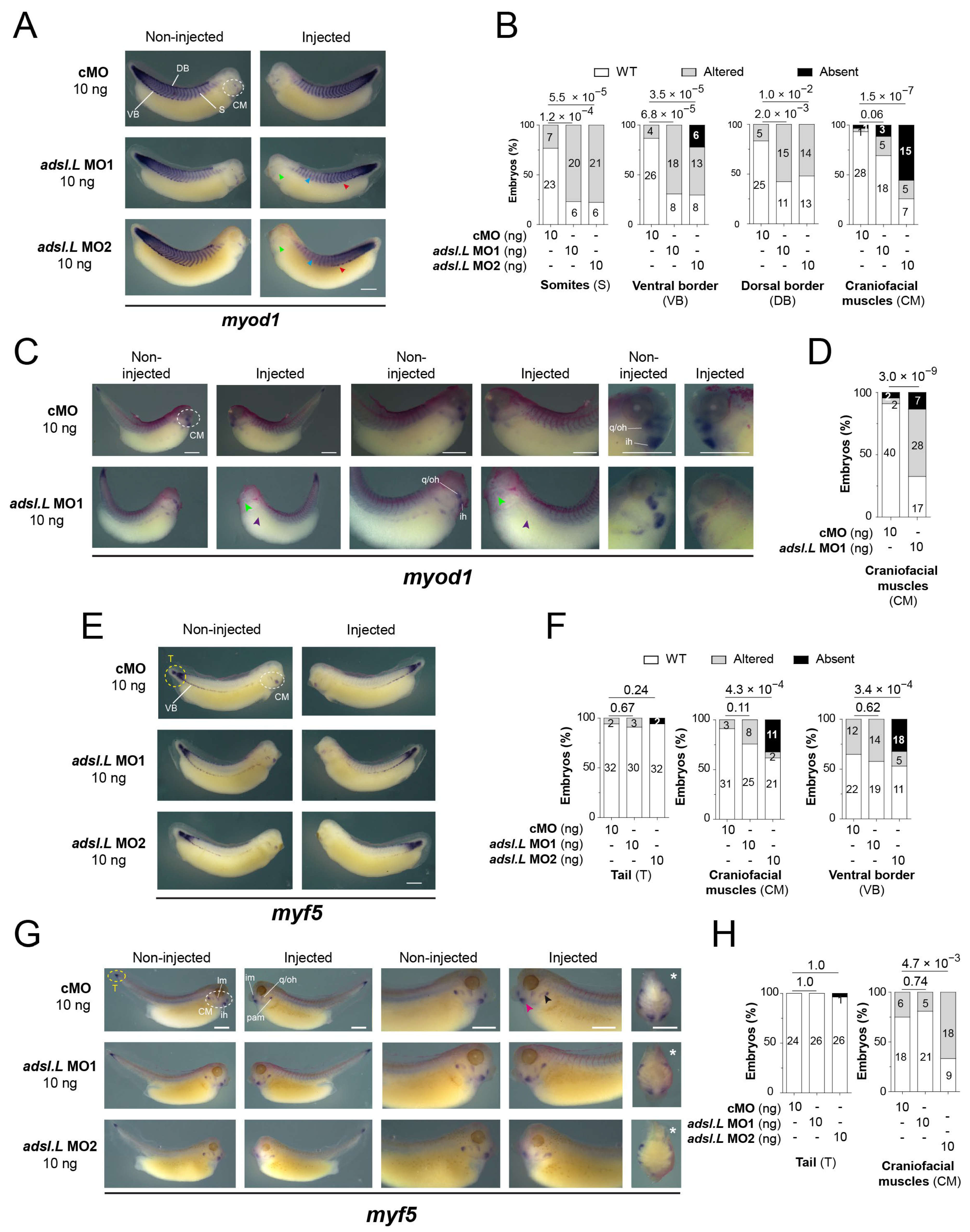 Cells 12 02379 g006 Cells 12 02379 g006