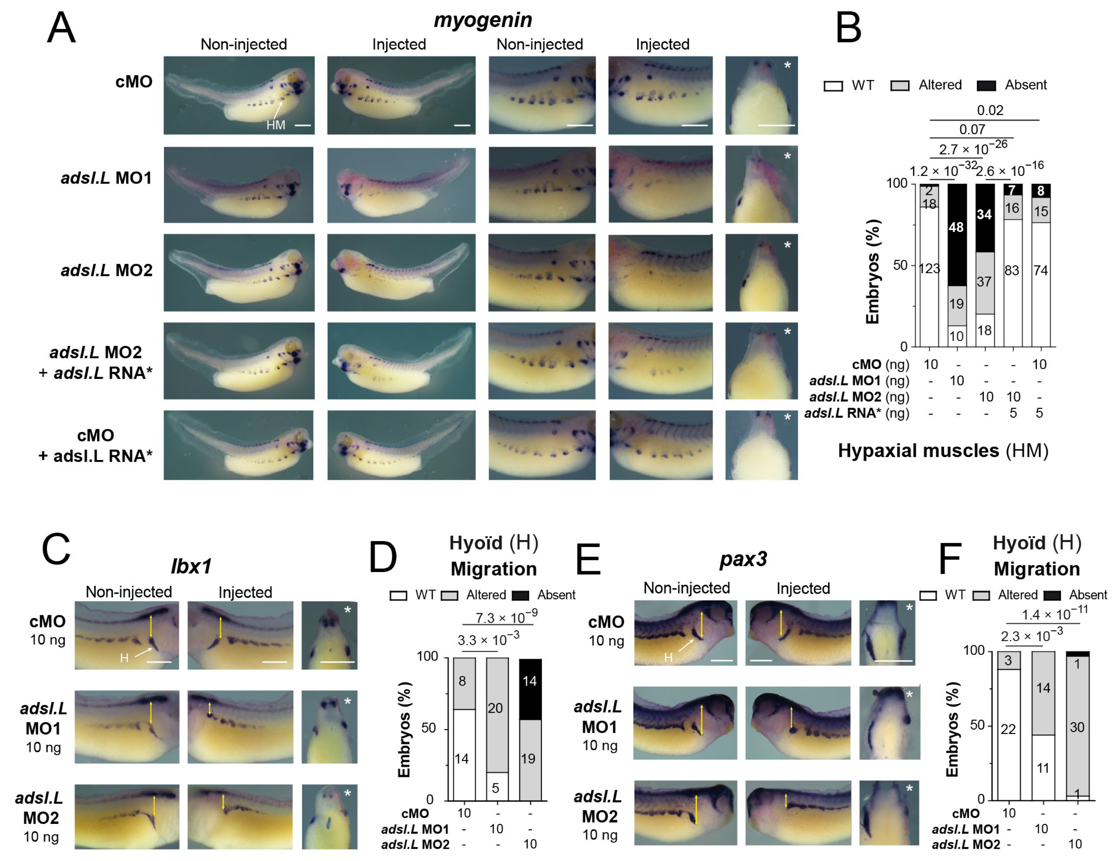 Cells 12 02379 g007 Cells 12 02379 g007