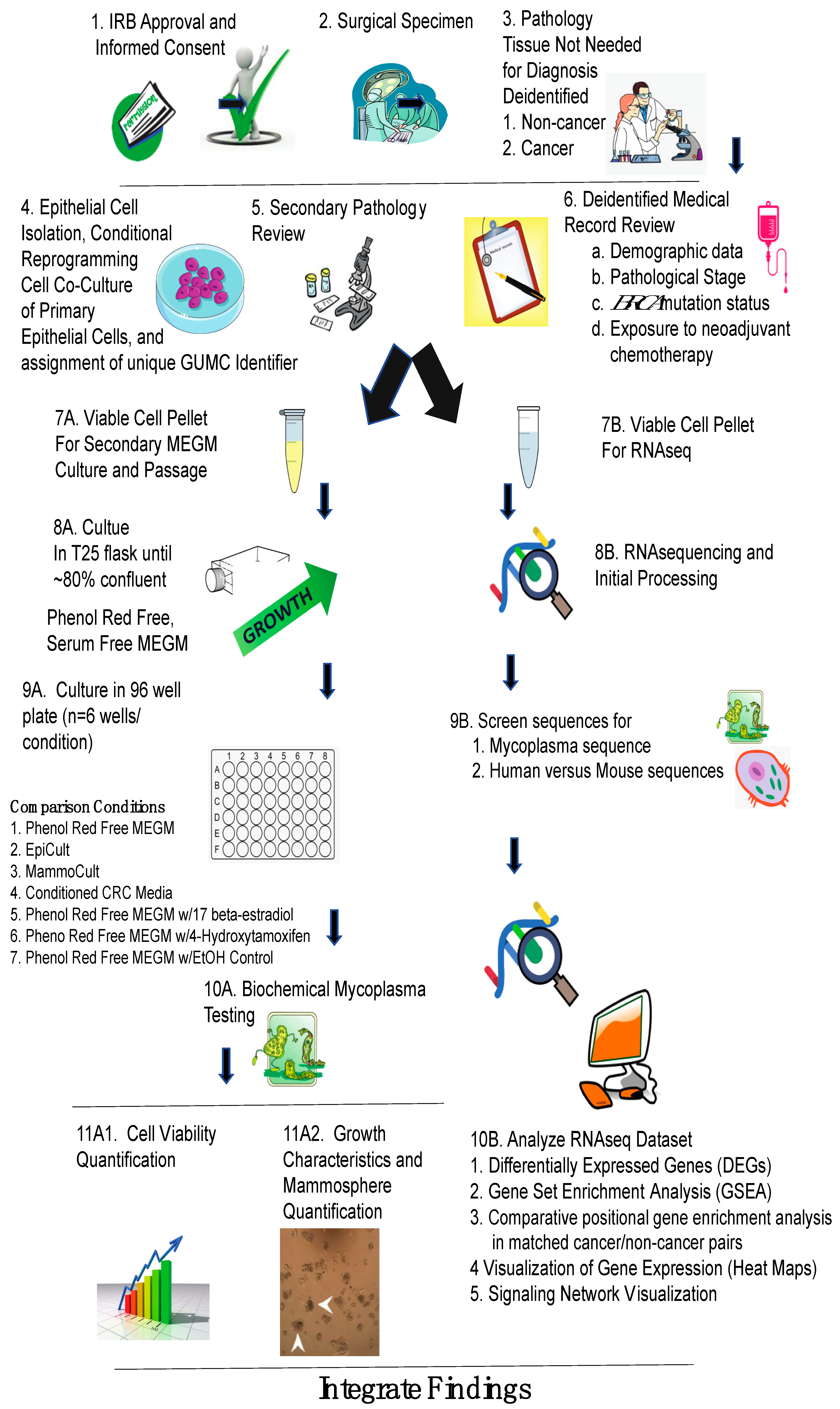 Cells 12 02388 g002 Cells 12 02388 g002