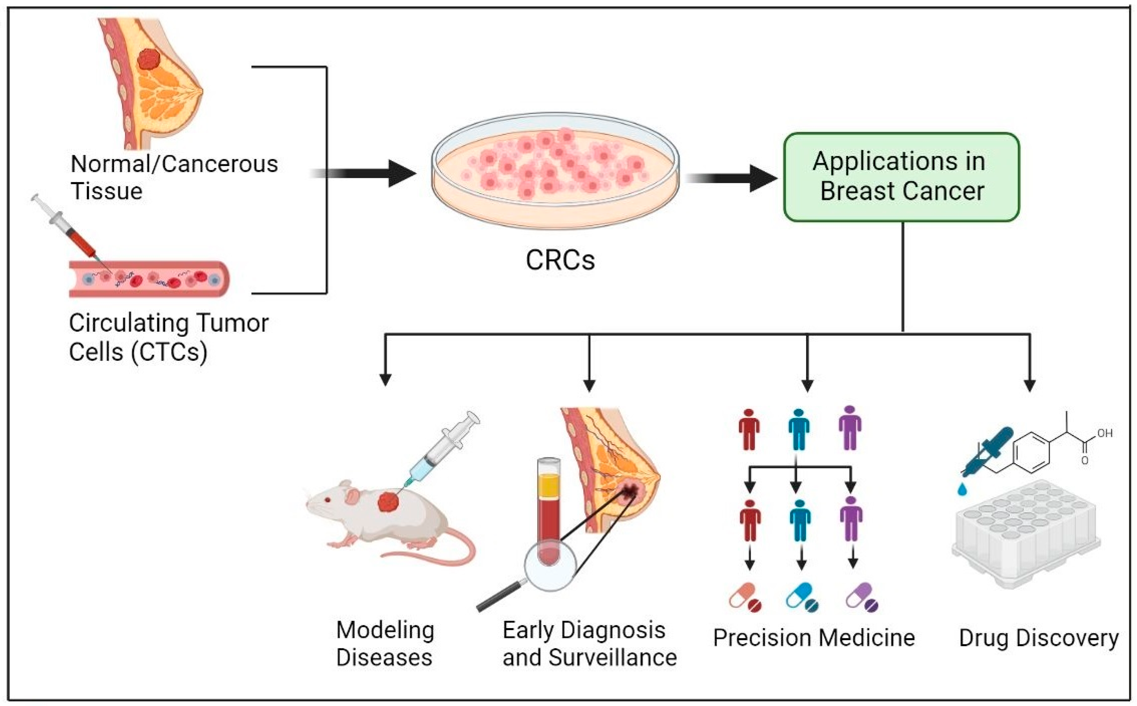 Cells 12 02388 g005 Cells 12 02388 g005