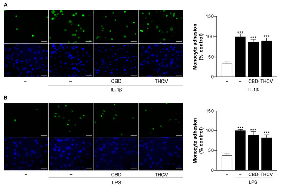 Non-Psychoactive Phytocannabinoids Inhibit Inflammation