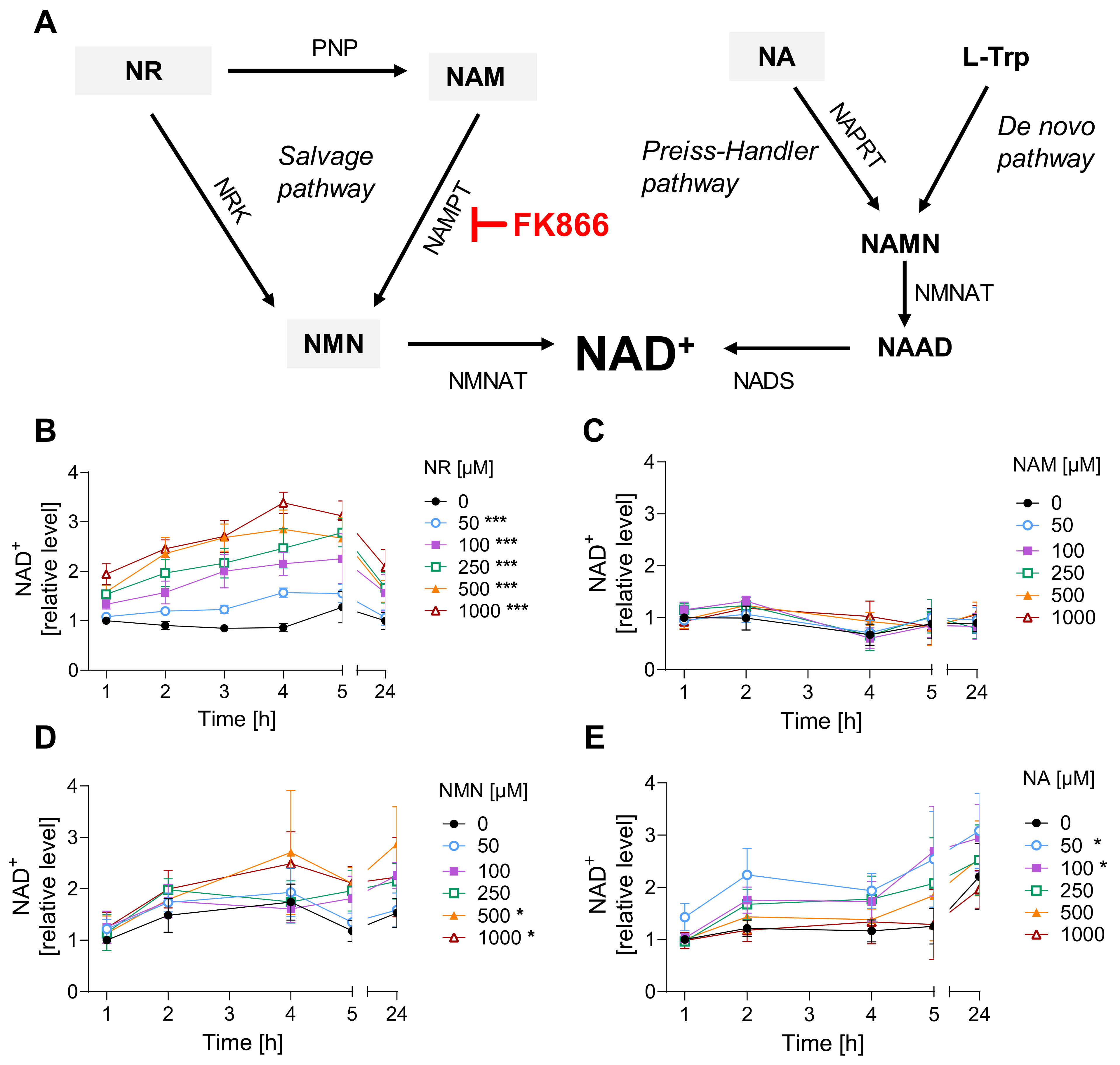 Cells 12 02396 g001 Cells 12 02396 g001