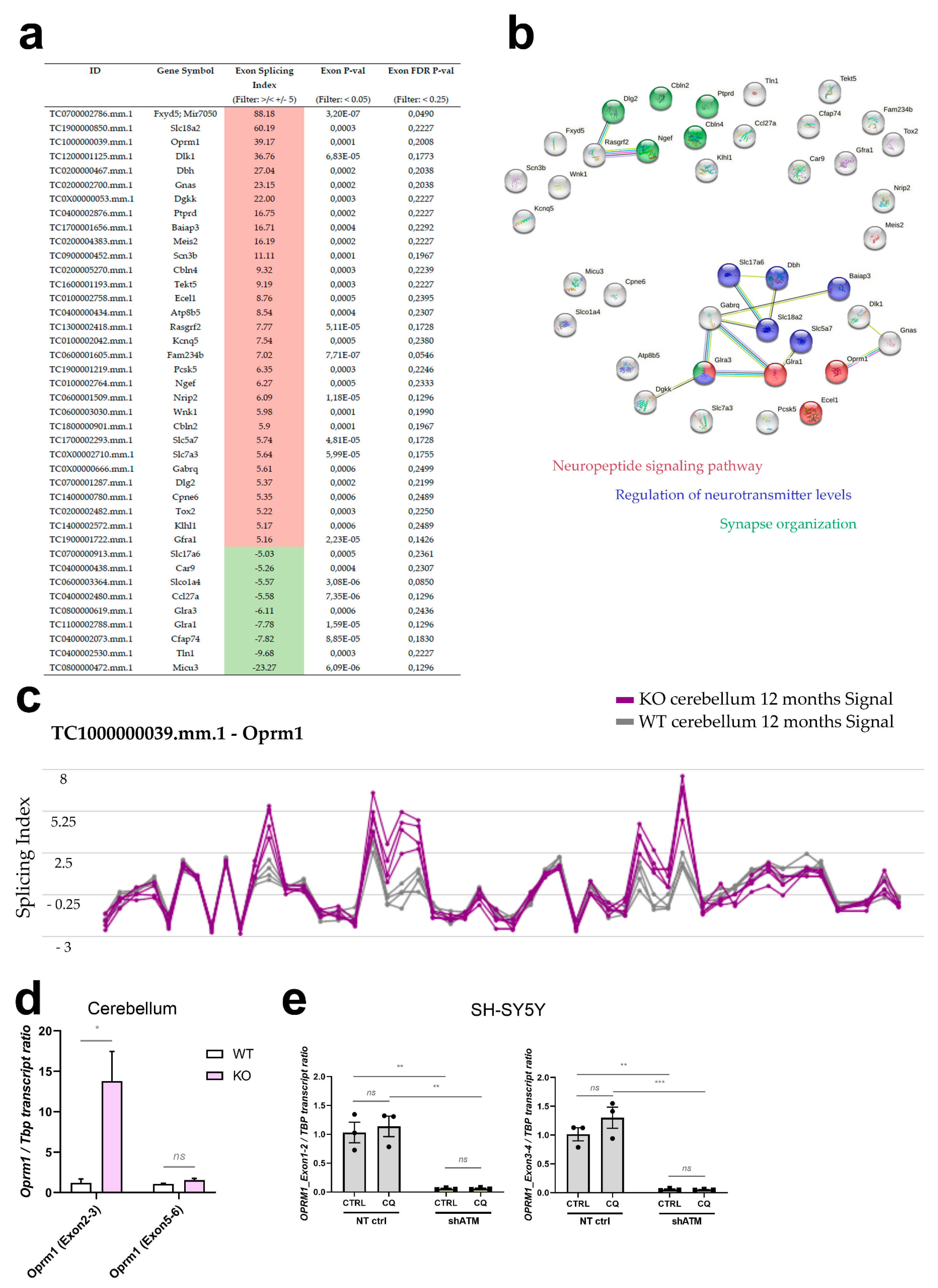 Cells 12 02399 g006 Cells 12 02399 g006