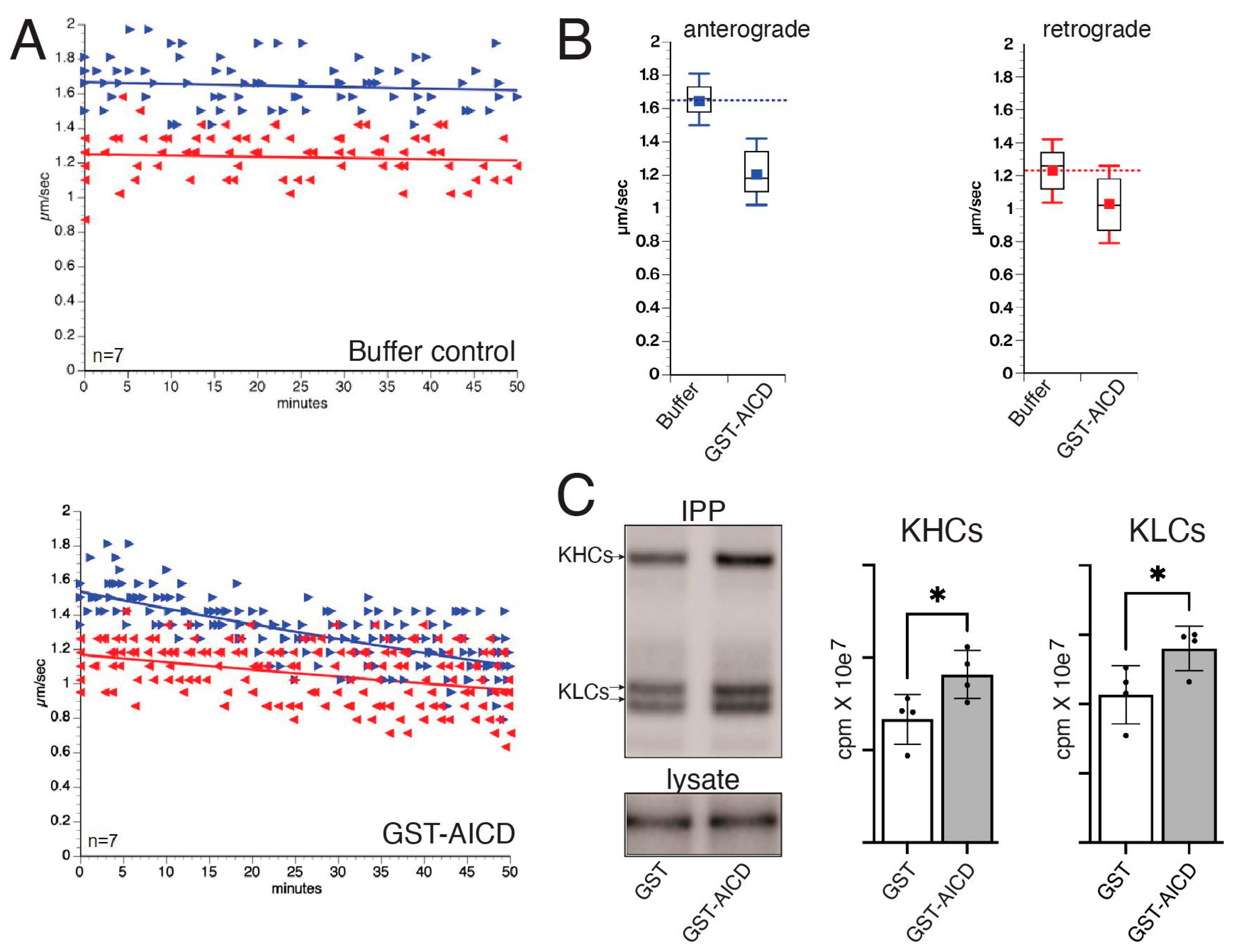 Cells 12 02403 g002 Cells 12 02403 g002