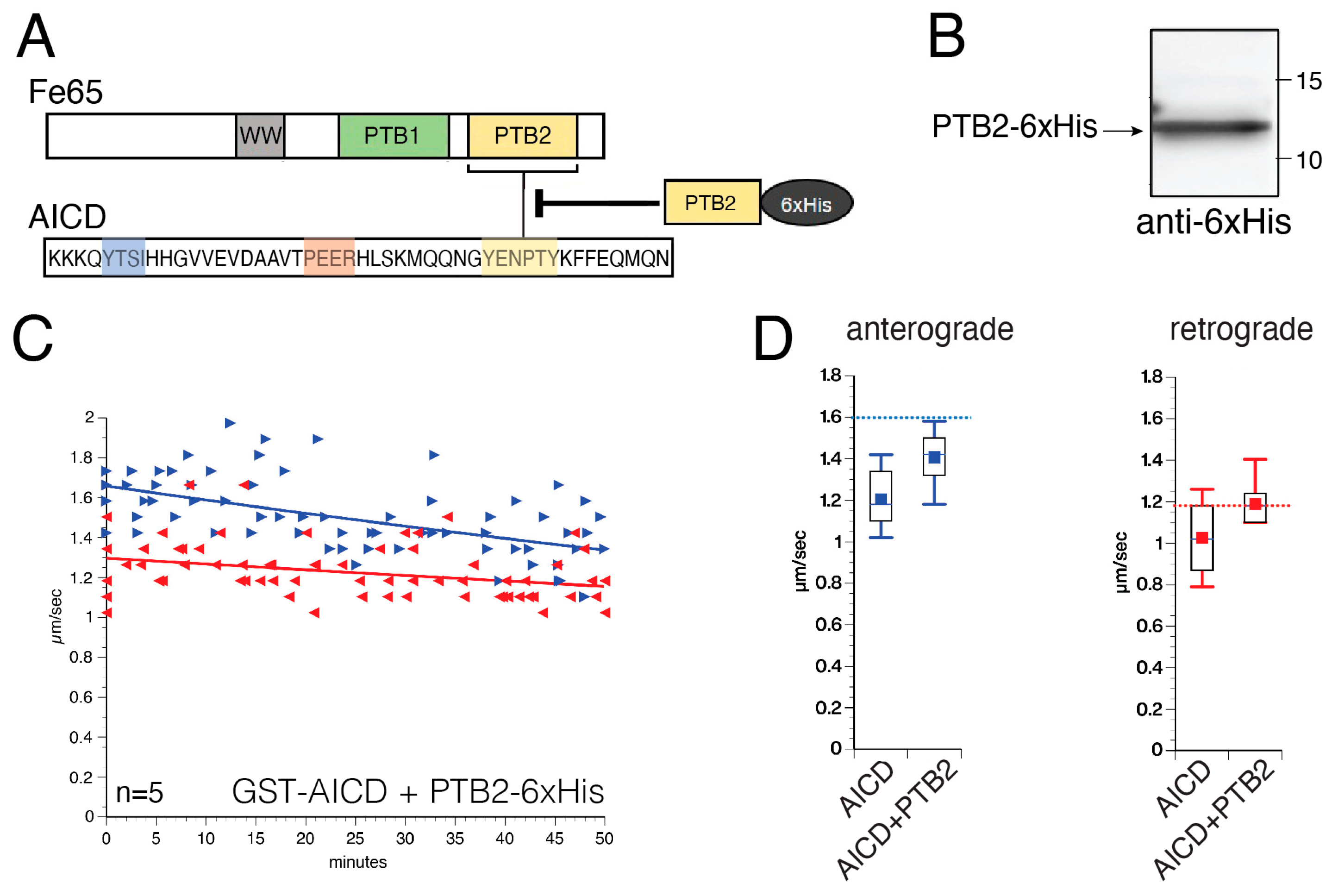 Cells 12 02403 g006 Cells 12 02403 g006