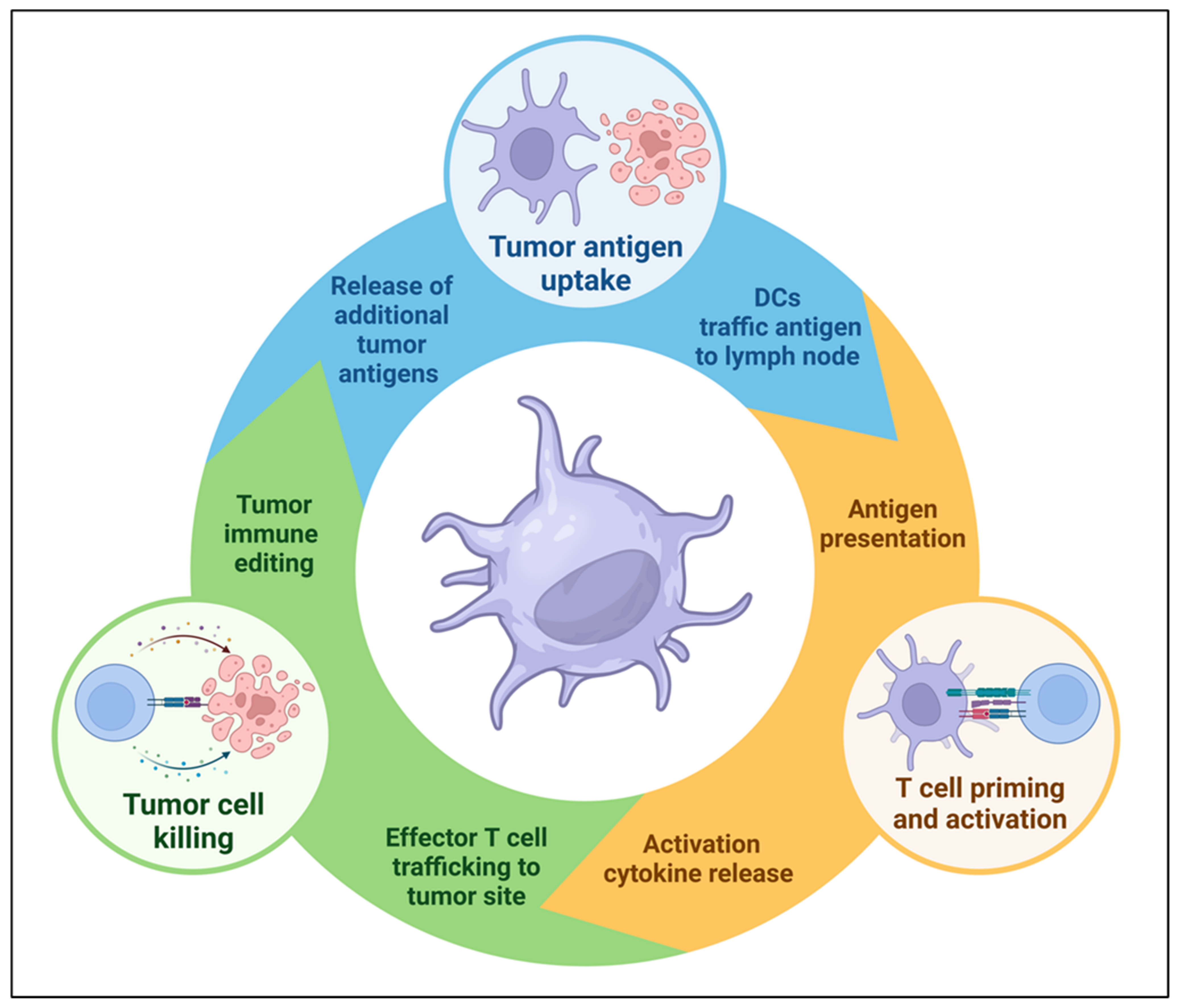 CLL Society Introduces the Protecting Innovation in Rare Cancers