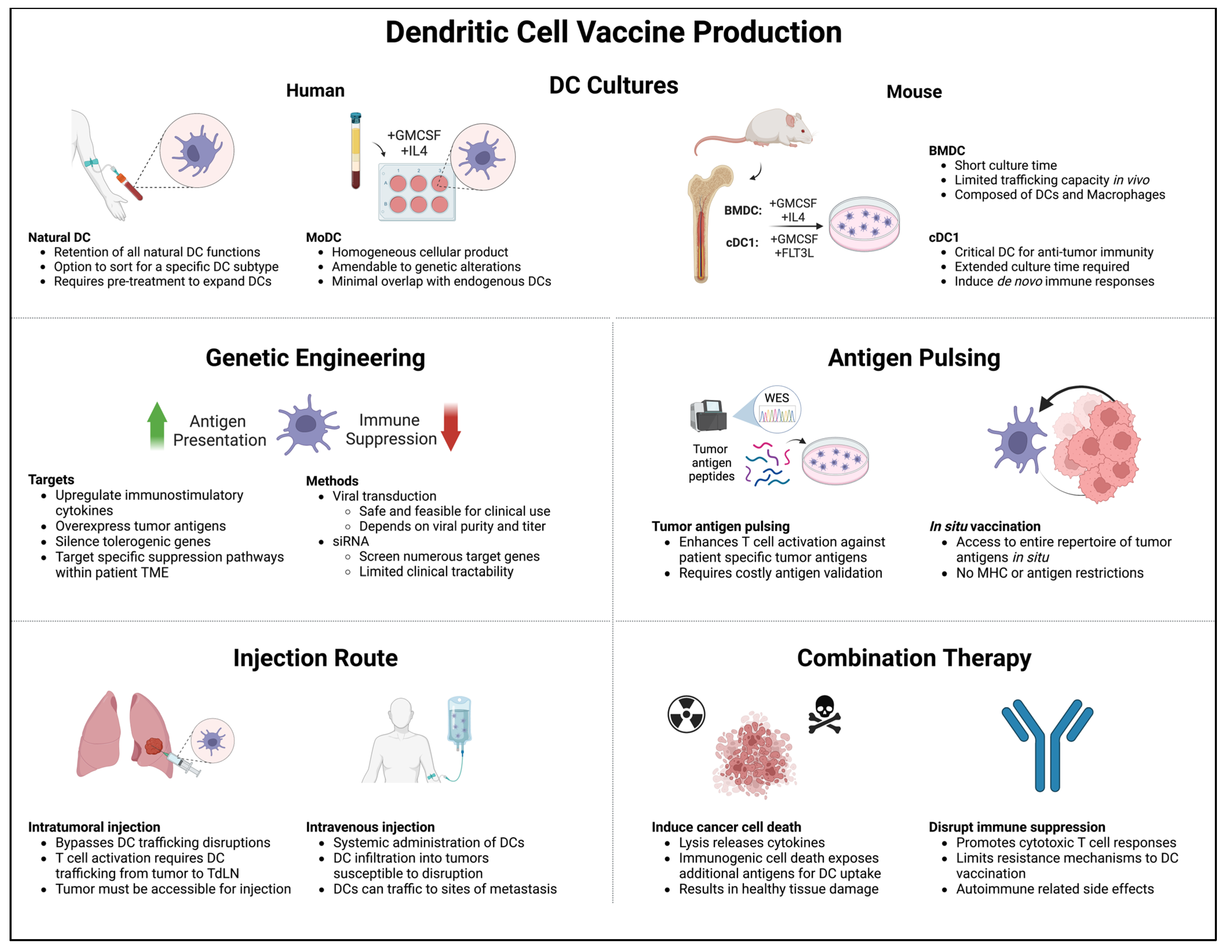 Cells 12 02404 g003 Cells 12 02404 g003