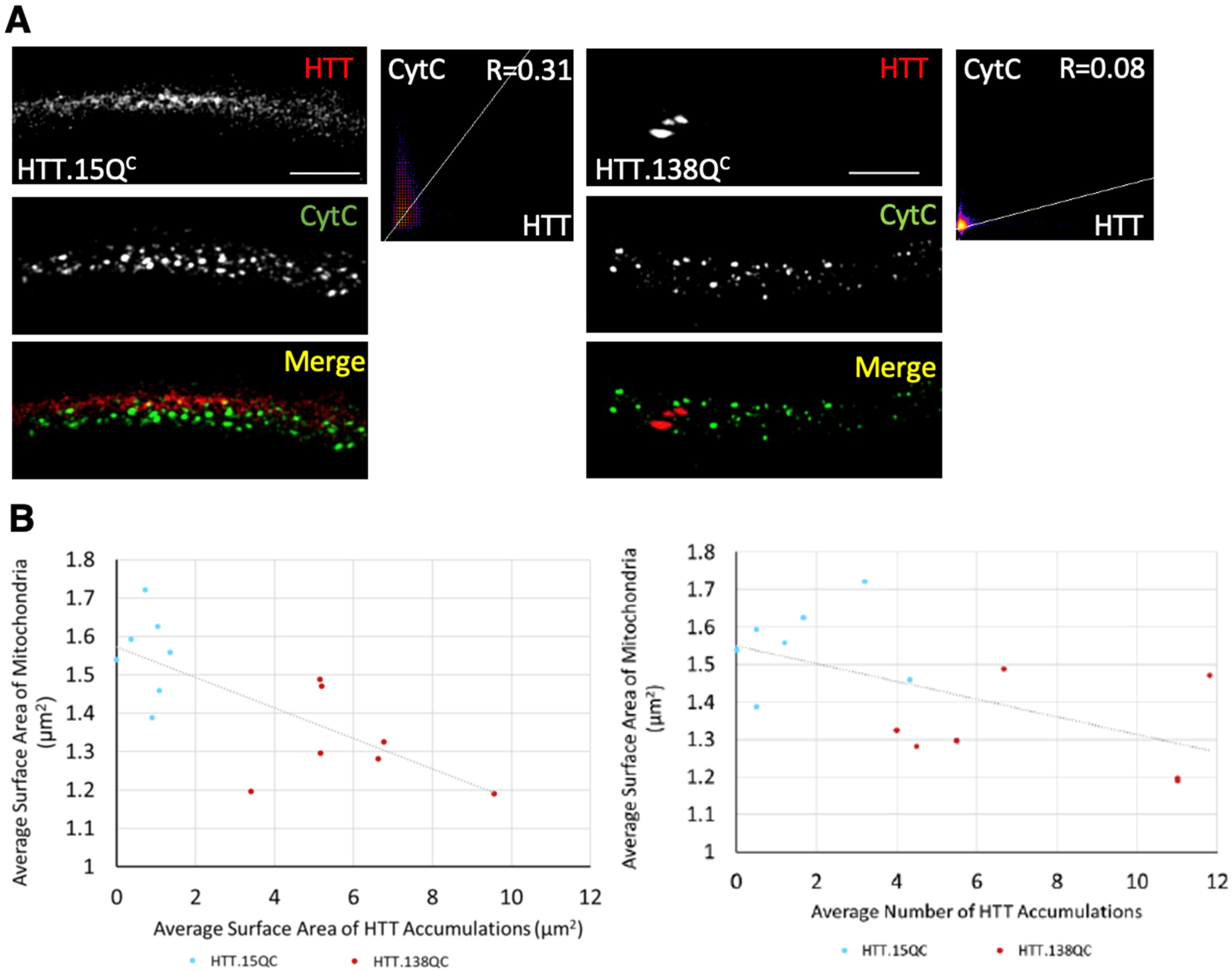 Cells 12 02406 g002 Cells 12 02406 g002