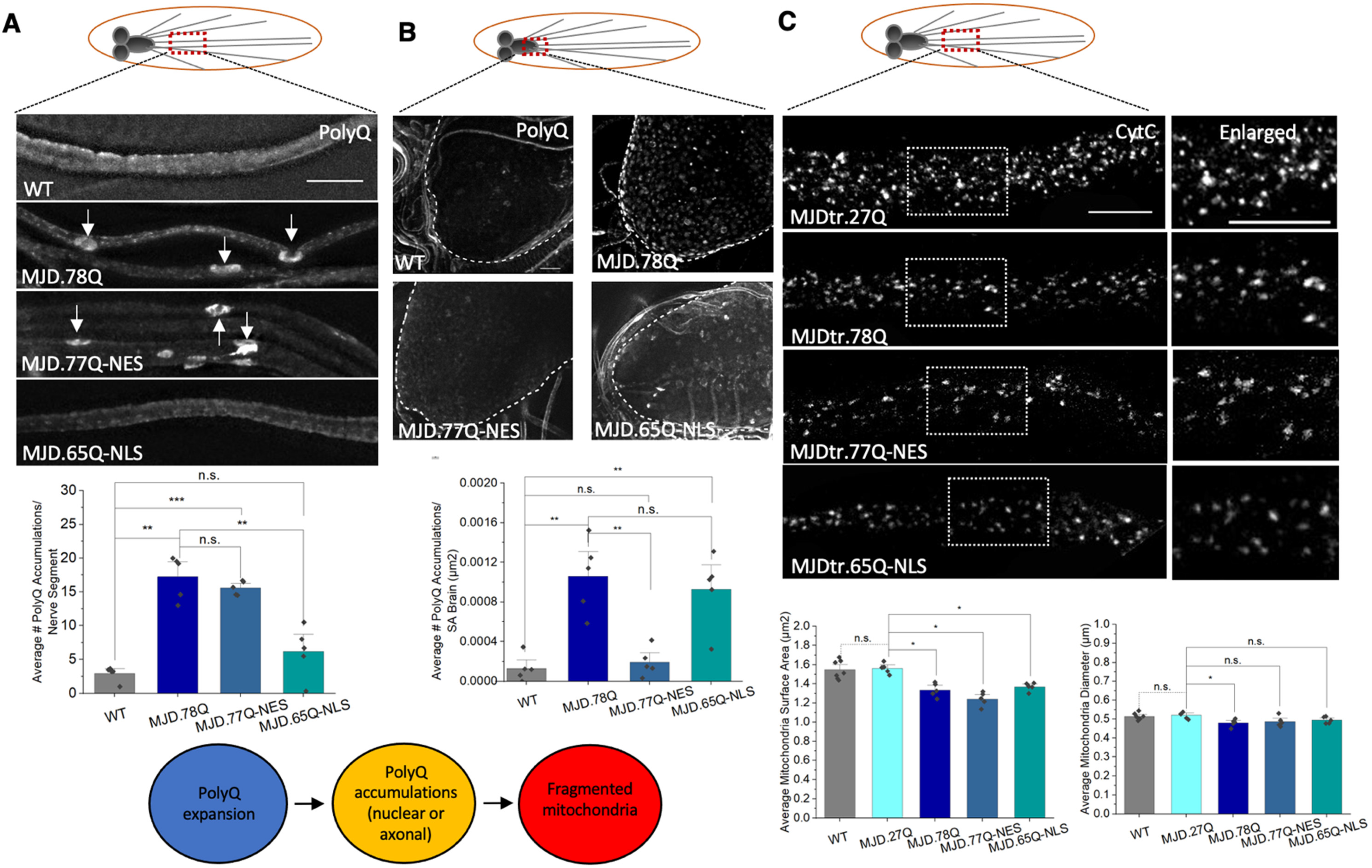 Cells 12 02406 g005 Cells 12 02406 g005