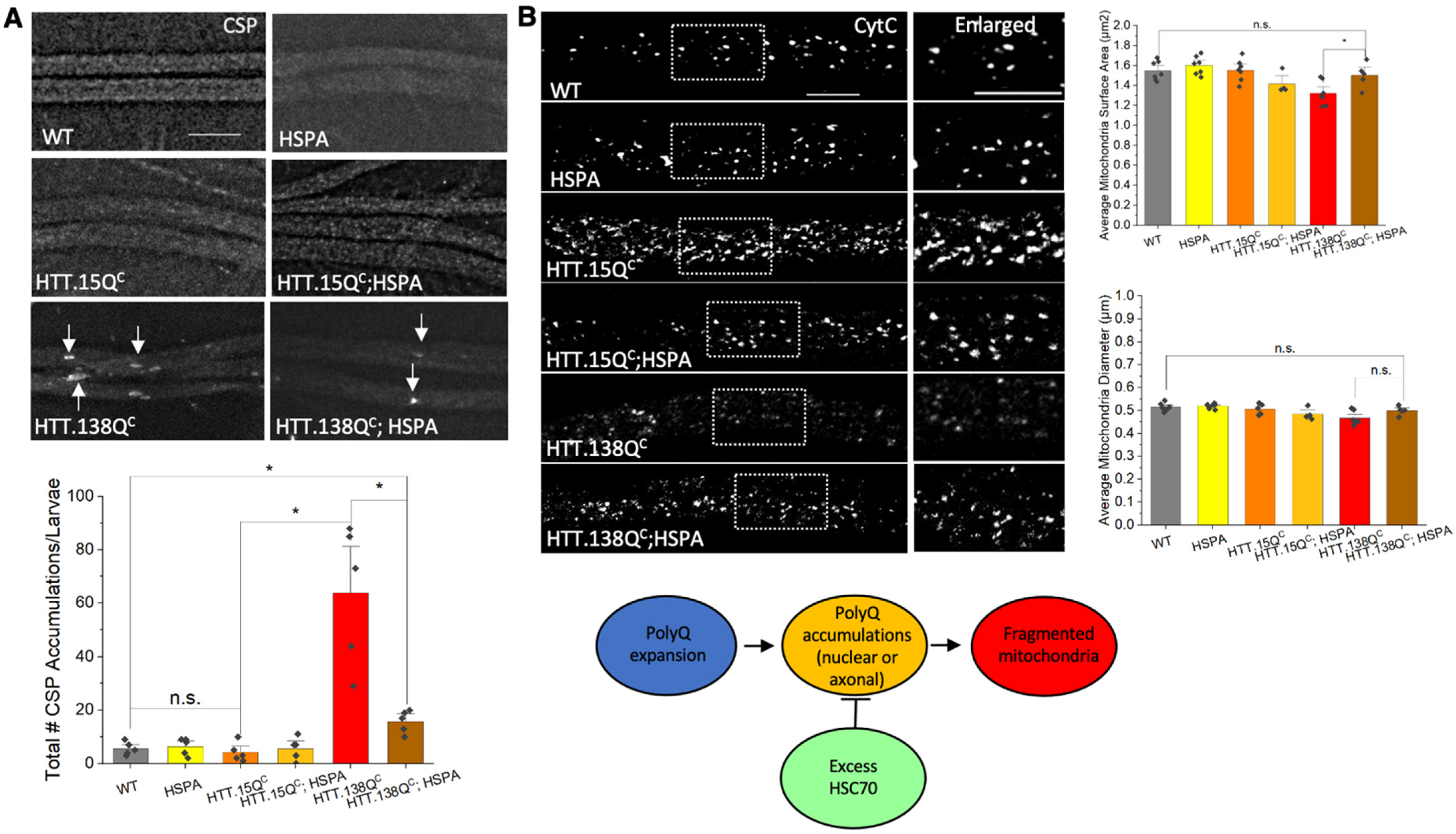 Cells 12 02406 g006 Cells 12 02406 g006