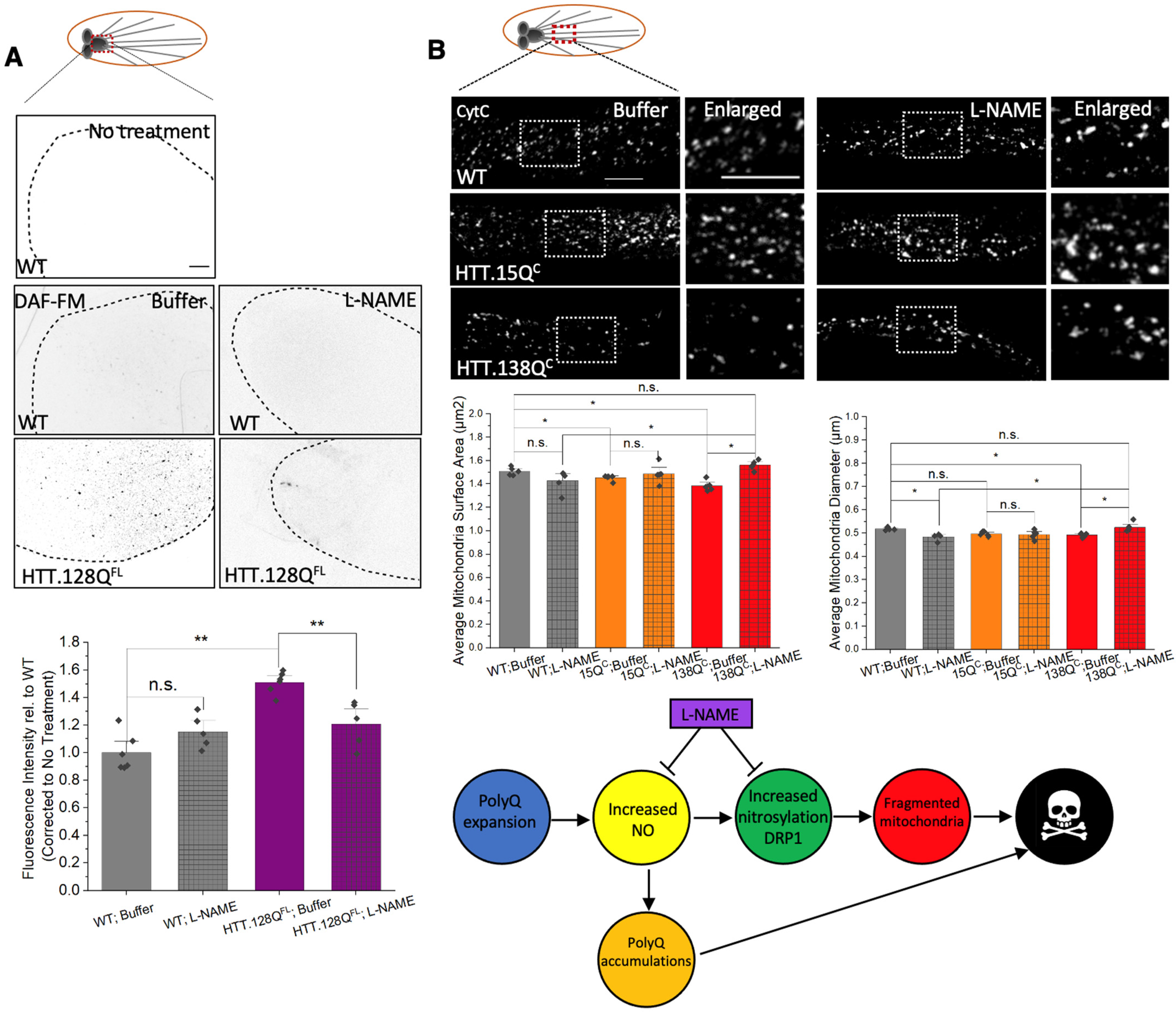 Cells 12 02406 g009 Cells 12 02406 g009