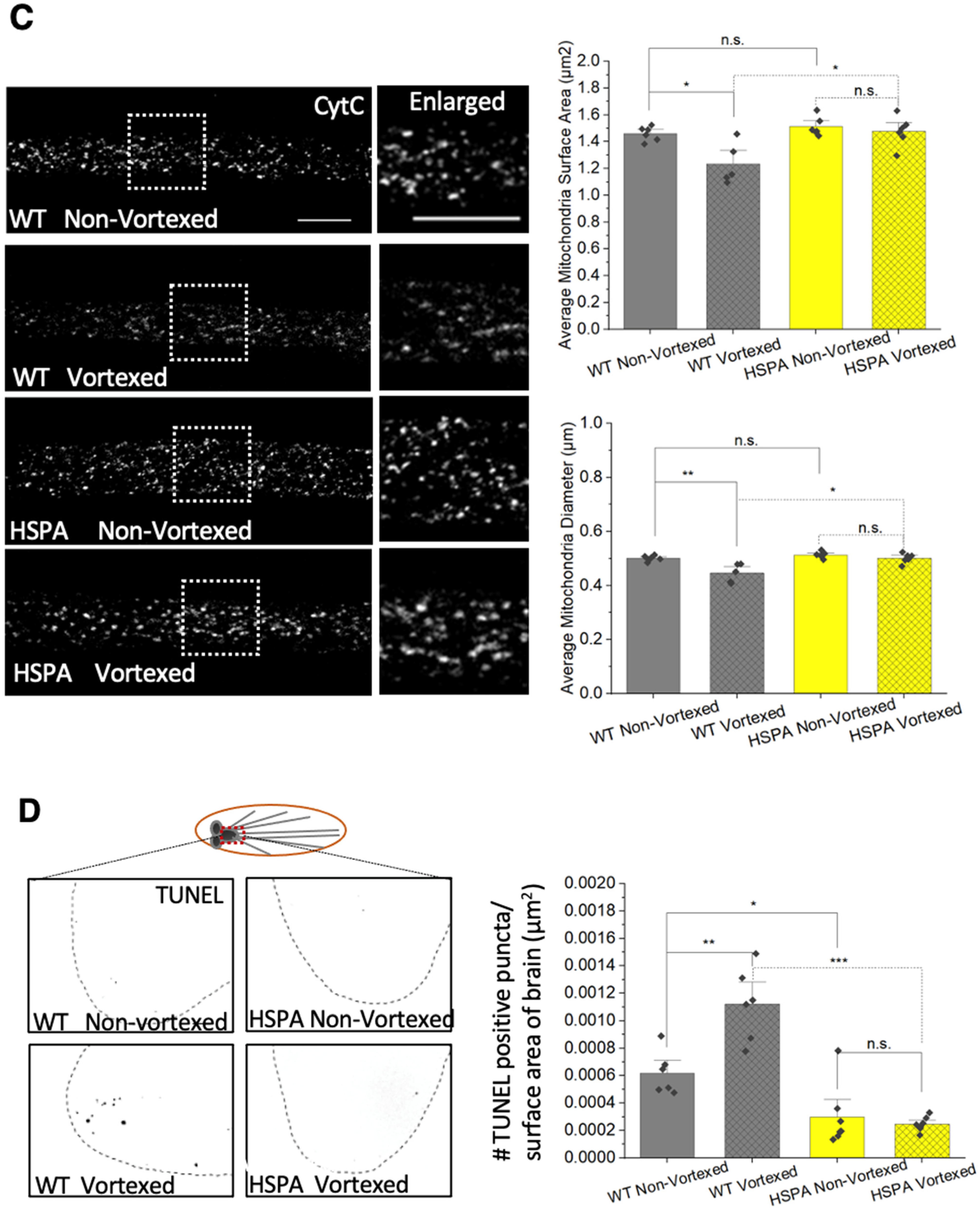 Cells 12 02406 g010b Cells 12 02406 g010b