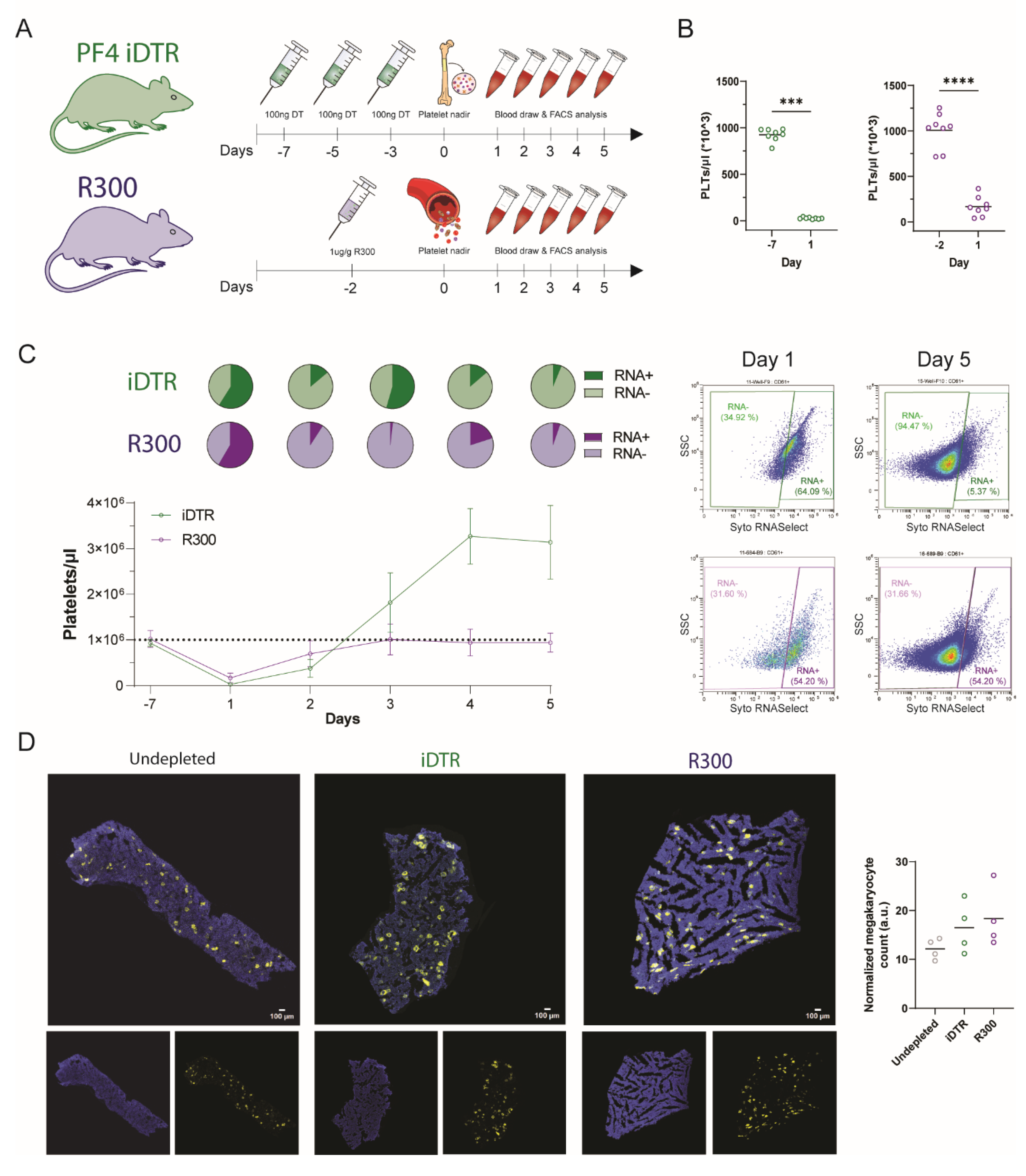 Cells 12 02419 g002 Cells 12 02419 g002