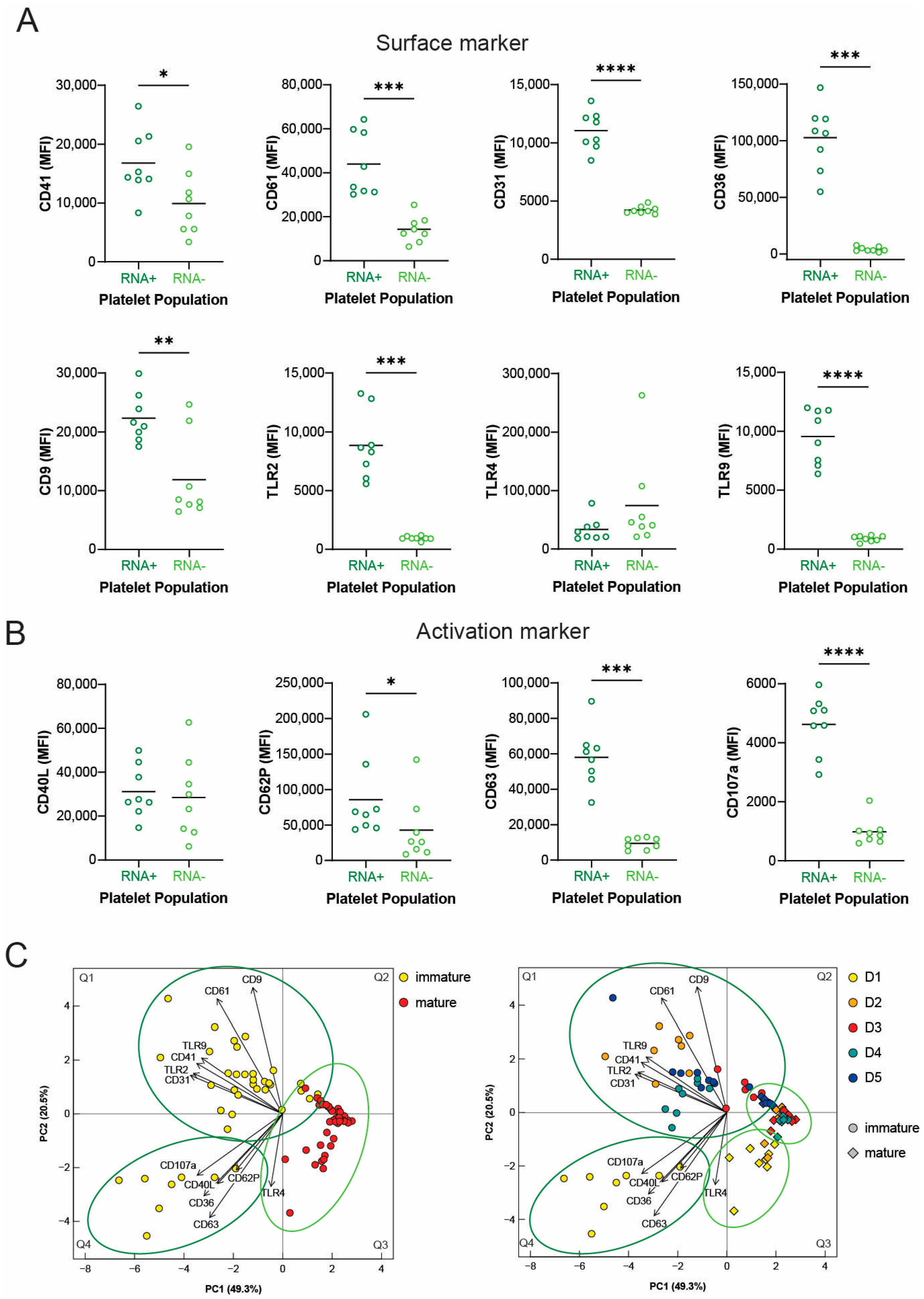 Cells 12 02419 g003 Cells 12 02419 g003