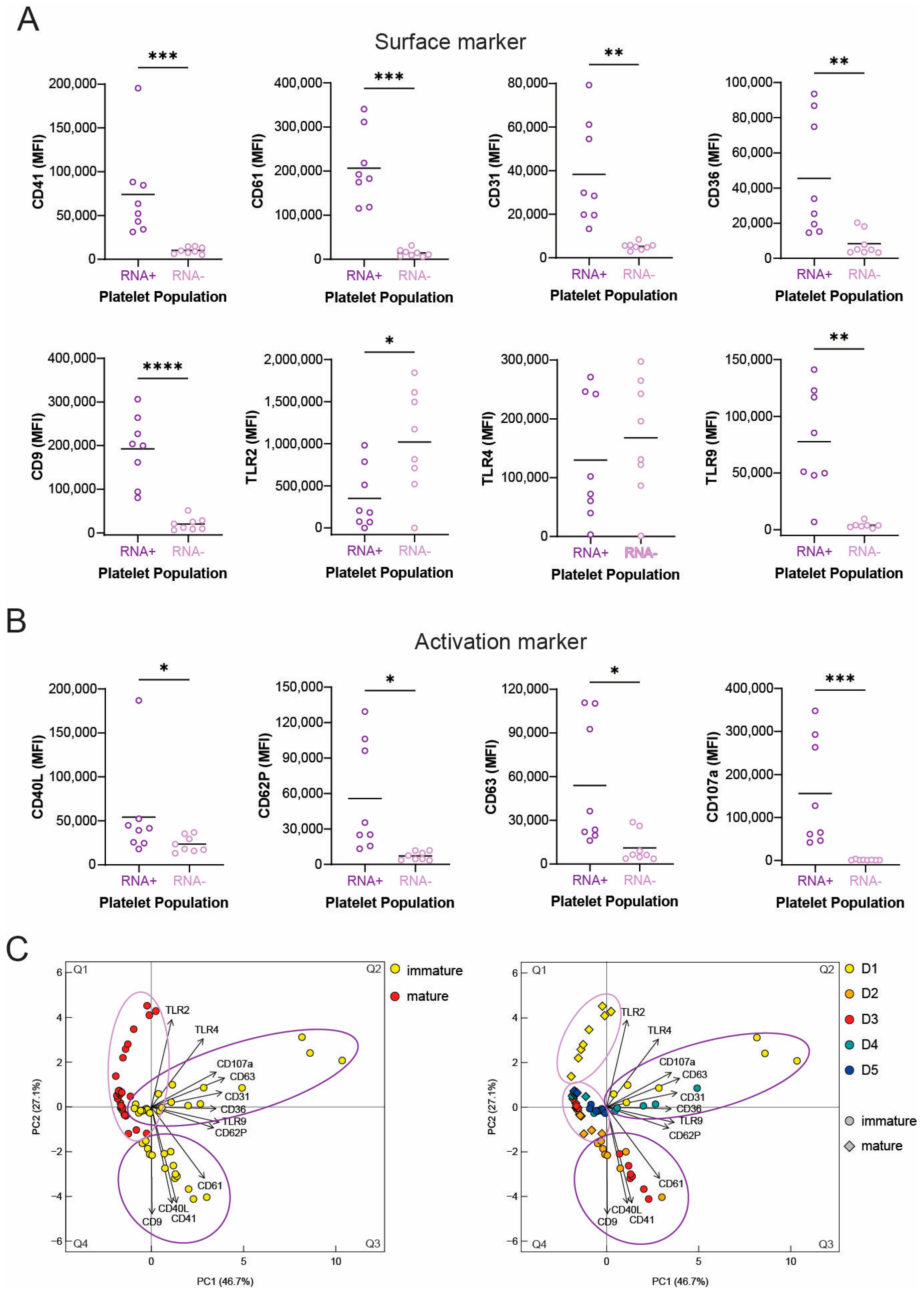 Cells 12 02419 g004 Cells 12 02419 g004