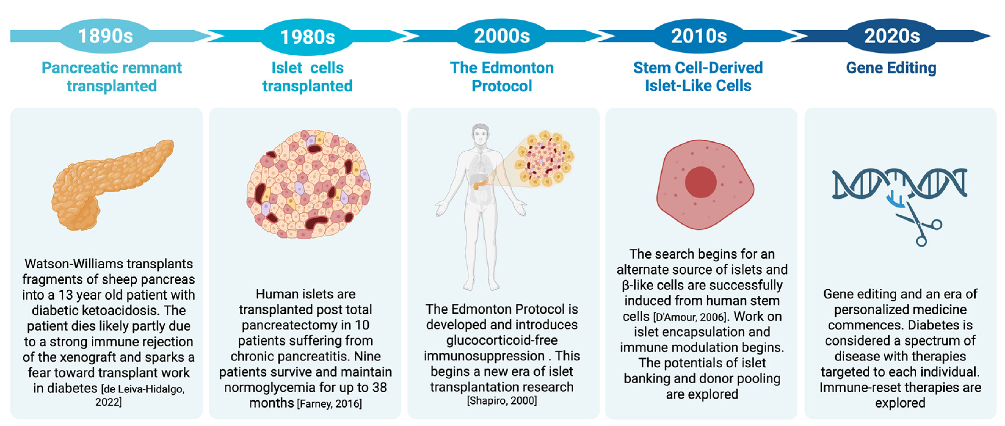 Cells 12 02423 g001 Cells 12 02423 g001