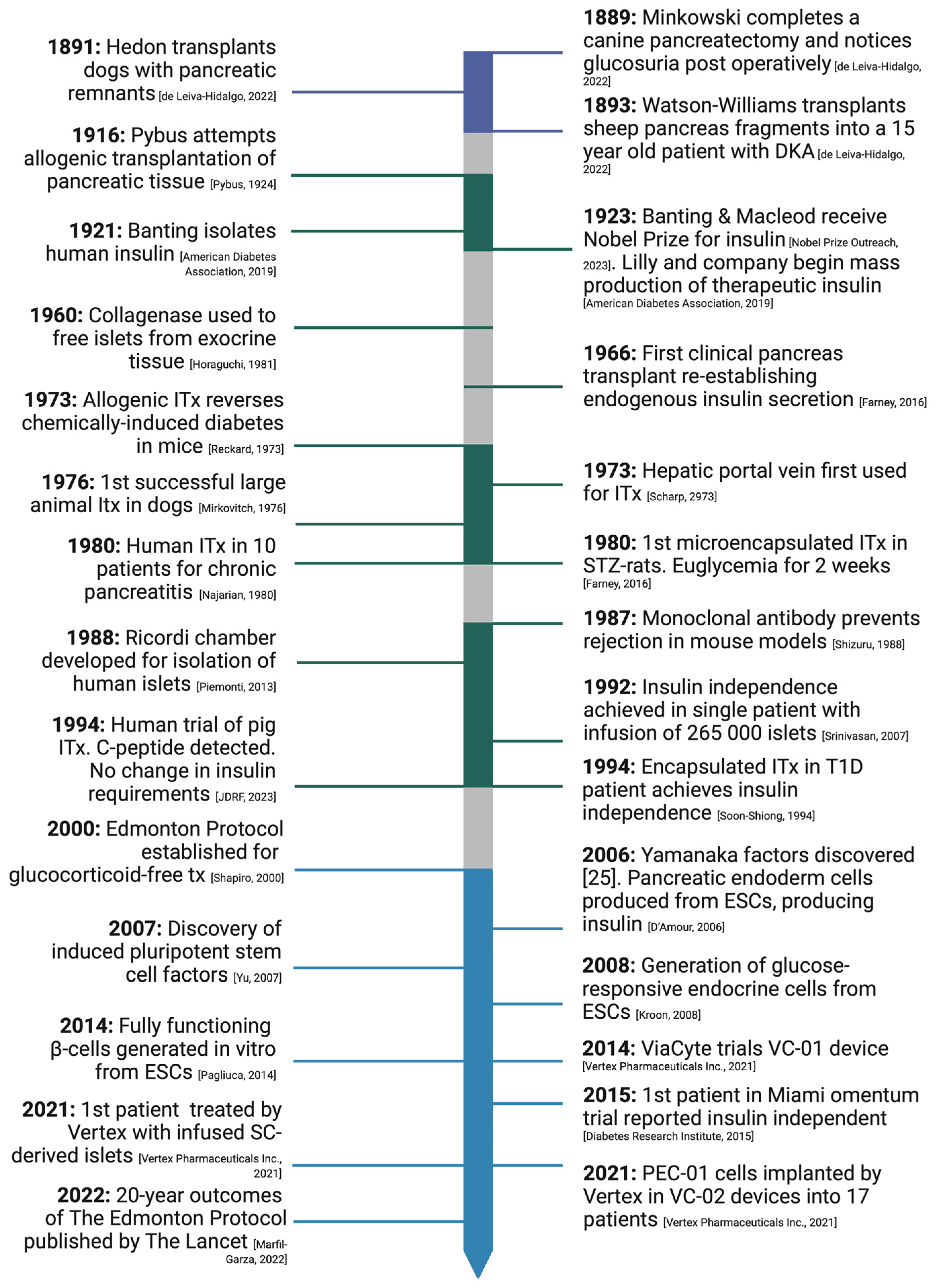 Cells 12 02423 g002 Cells 12 02423 g002