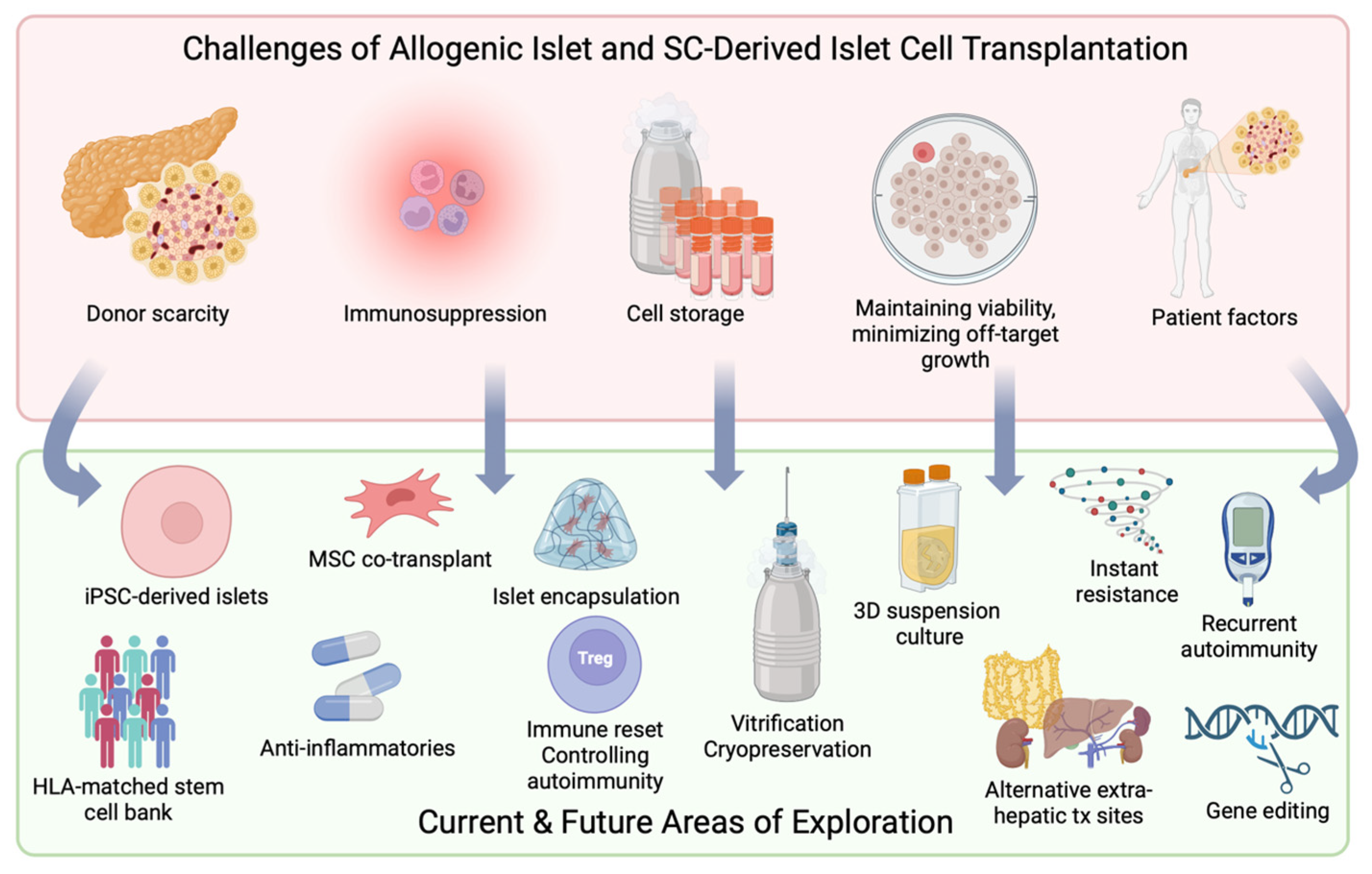 Cells 12 02423 g004 Cells 12 02423 g004