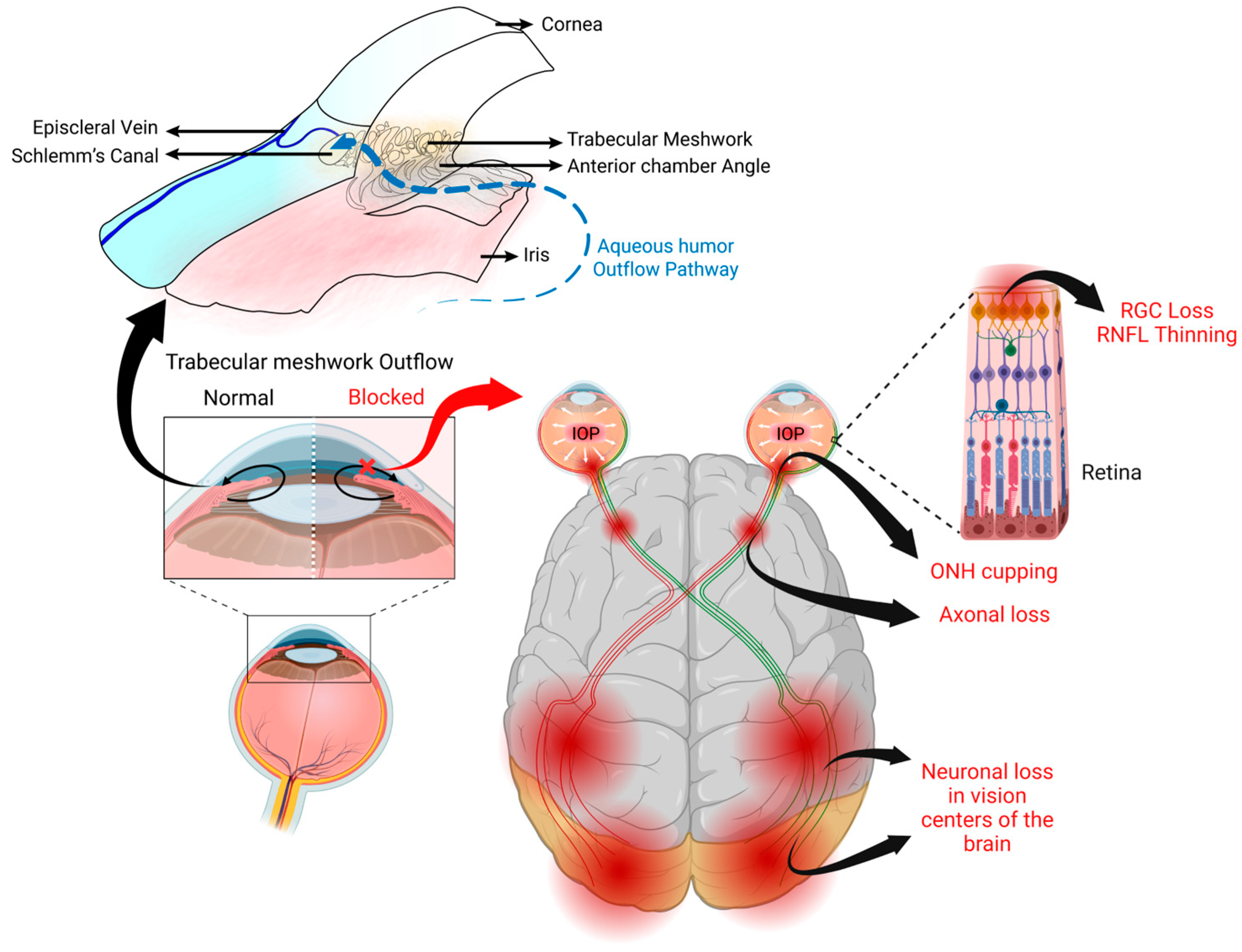 Cells 12 02452 g001 Cells 12 02452 g001